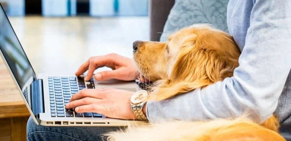 Top 4 Designer Virtual Outlets During COVID-19