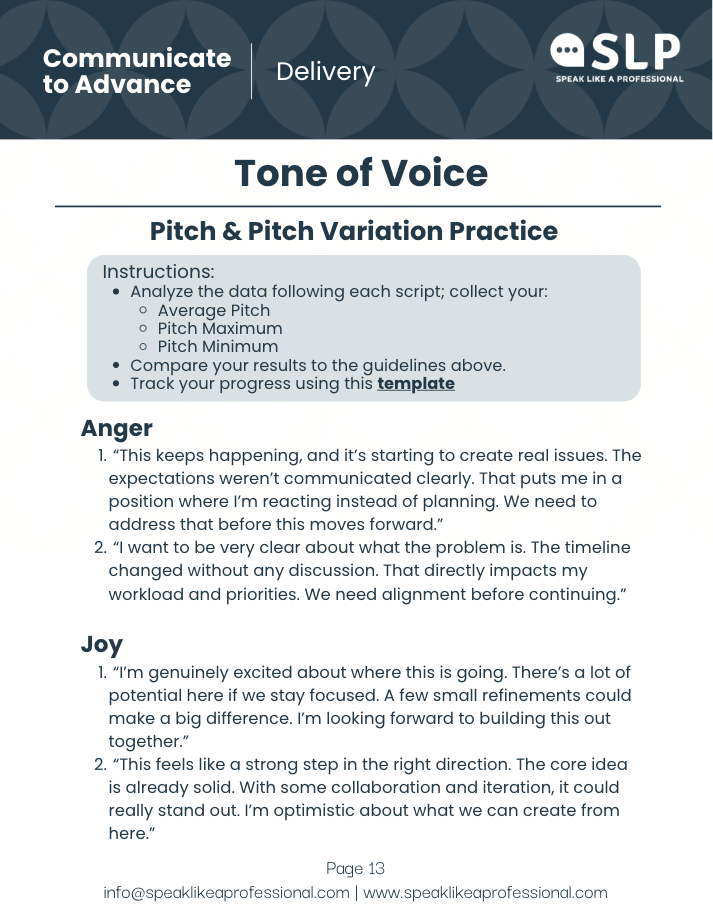 professional-communication-delivery-workbook-preview.png