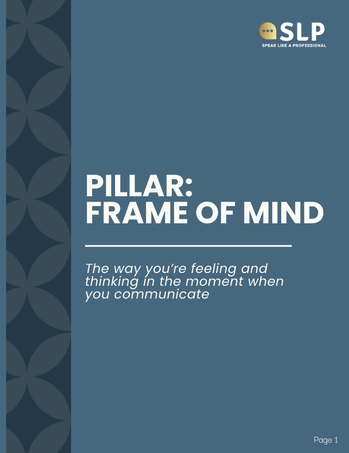 communication-mindset-workbook-for-professionals.png