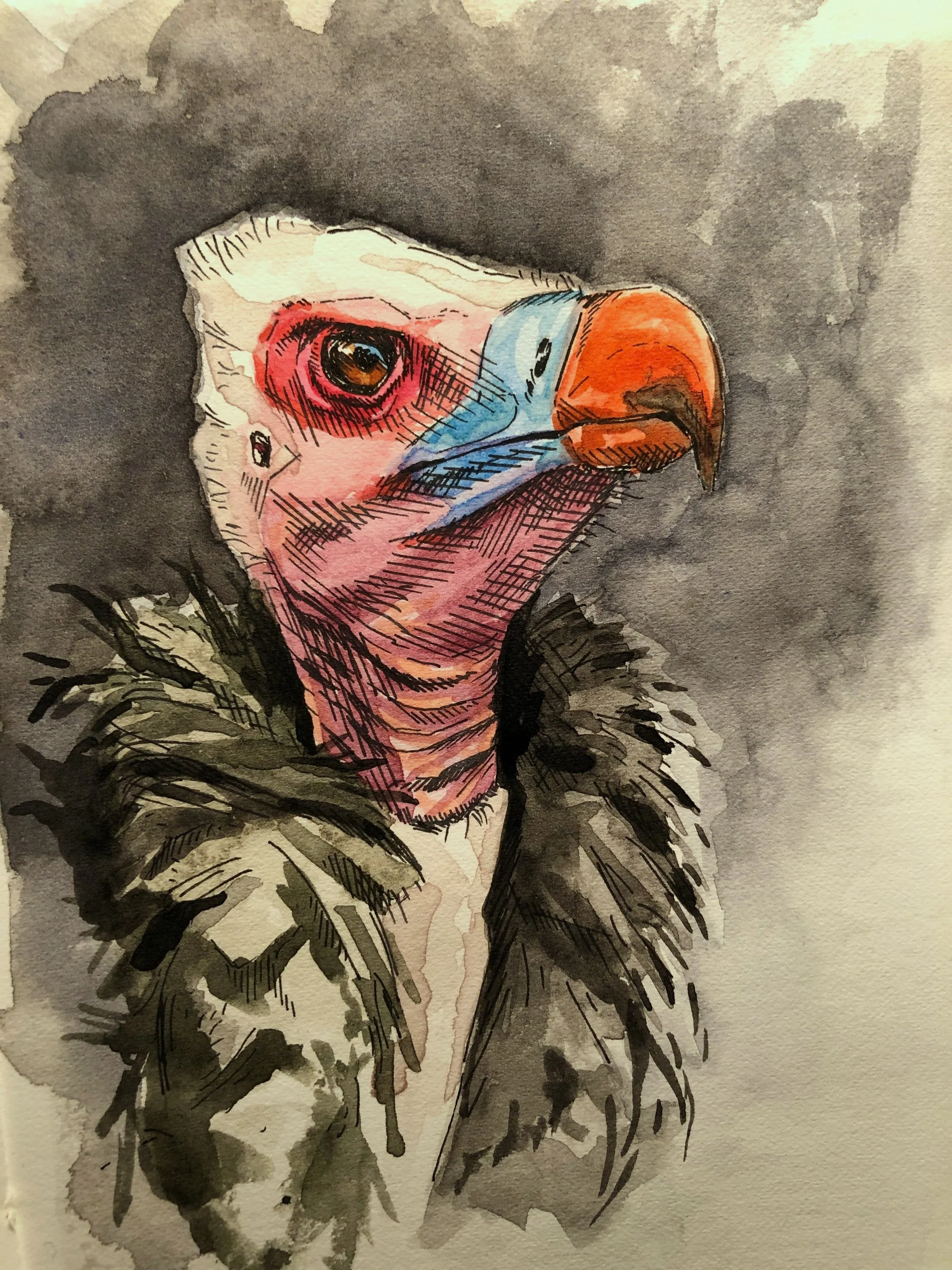 Watercolor illustration of a vulture with a bird's head and a human-like neck, wearing a dark feathered garment, with a gray background.