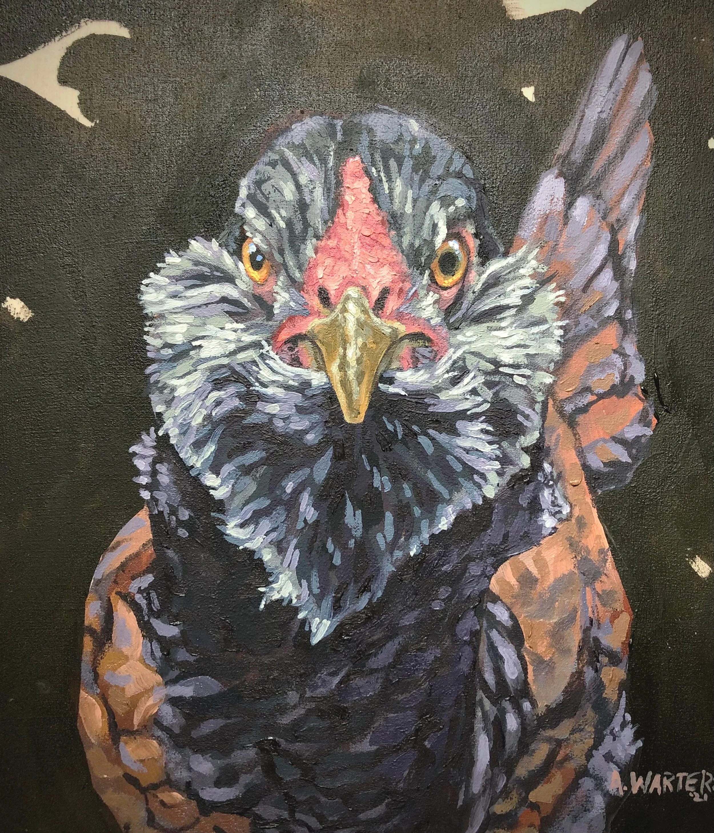 A detailed painting of a bird that has a chicken's body and a hawk's head, with a black background.