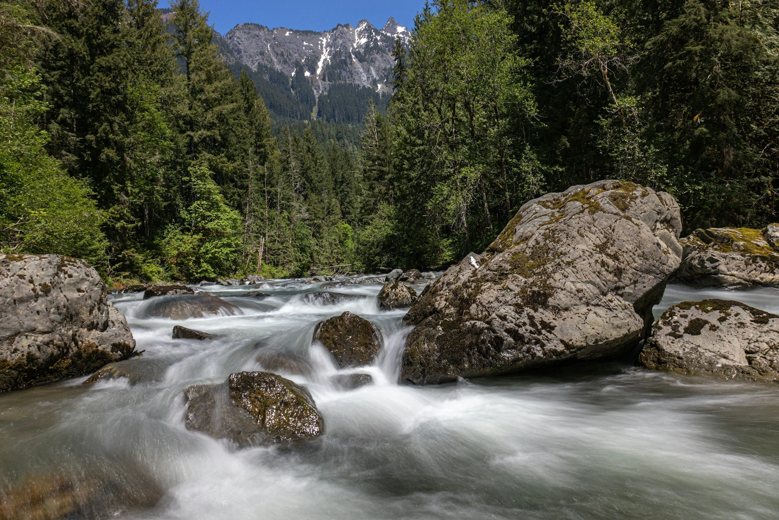 Letting the River Decide: Staying With Uncertainty