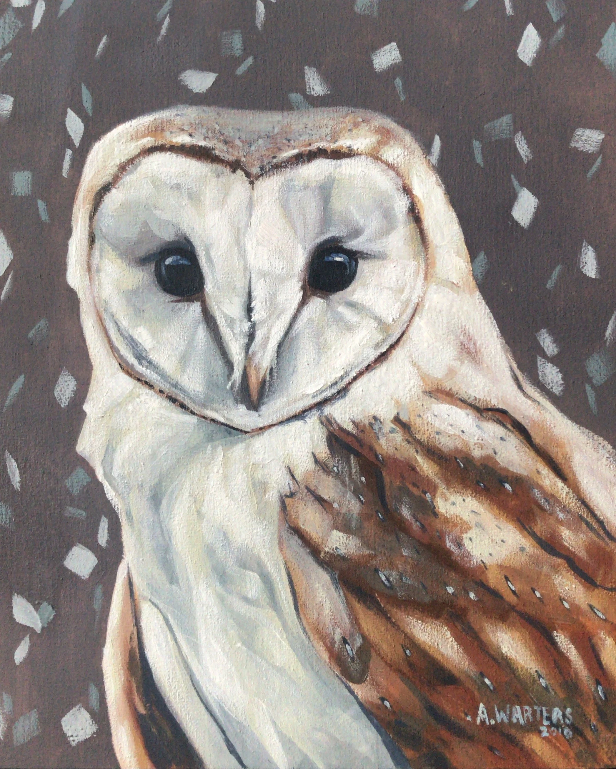 Painting of a barn owl with large black eyes, a heart-shaped face, and brown and white feathers, with a background of gray and white dashes.