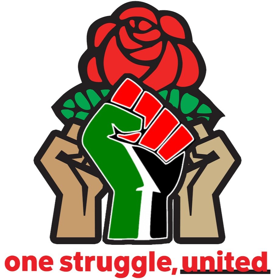 A graphic of four clenched fists in different colors (beige, black, green, red) arranged around a red rose. Below the fists, the text reads "one struggle, united" in bold red letters.