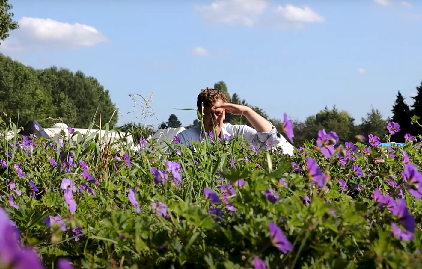 PILOT: PLANTENFILTER OP WIELEN VOOR FESITVALS