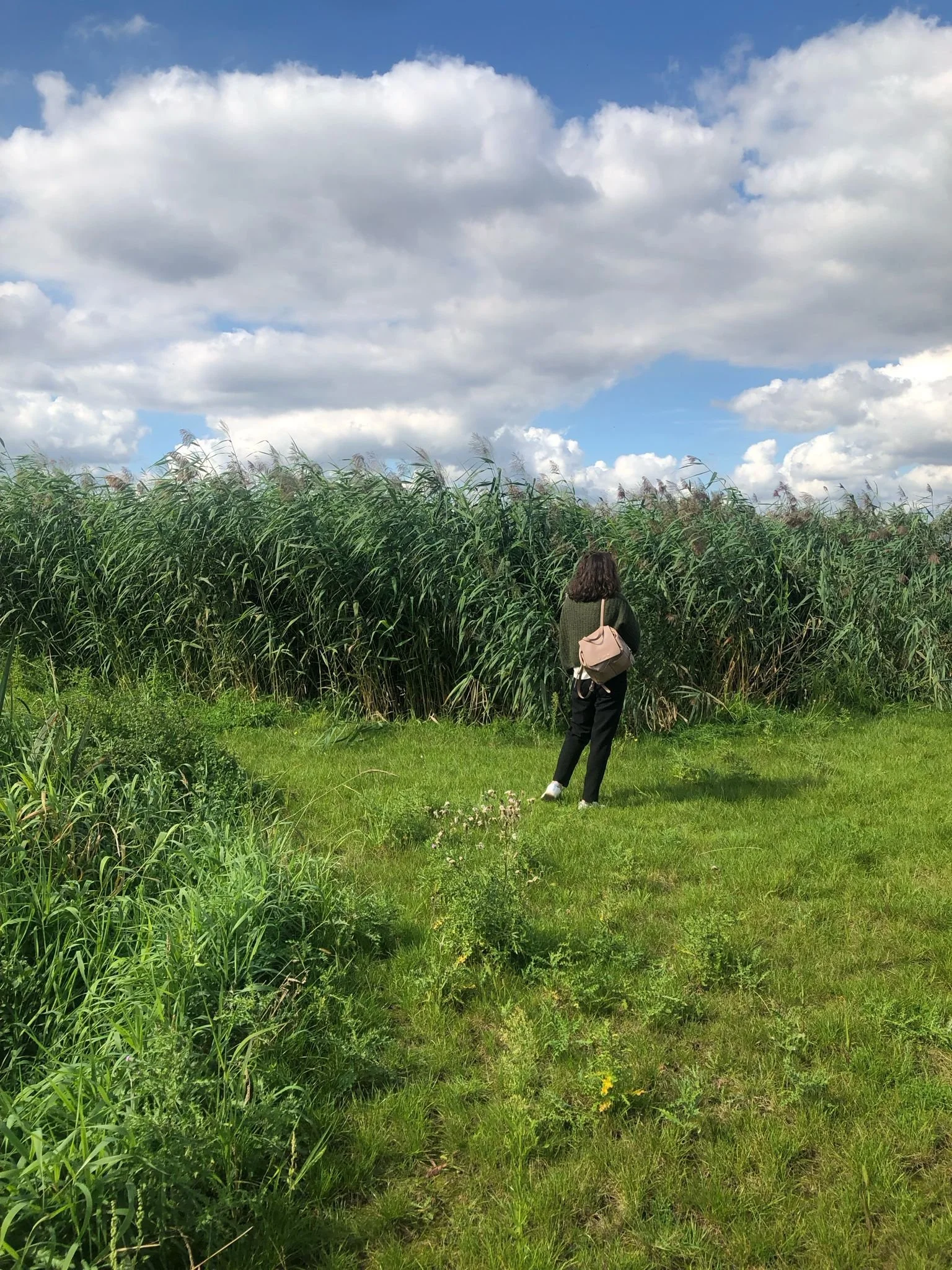 WhatsApp Image 2025-09-23 at 11.09.30 (1).jpeg