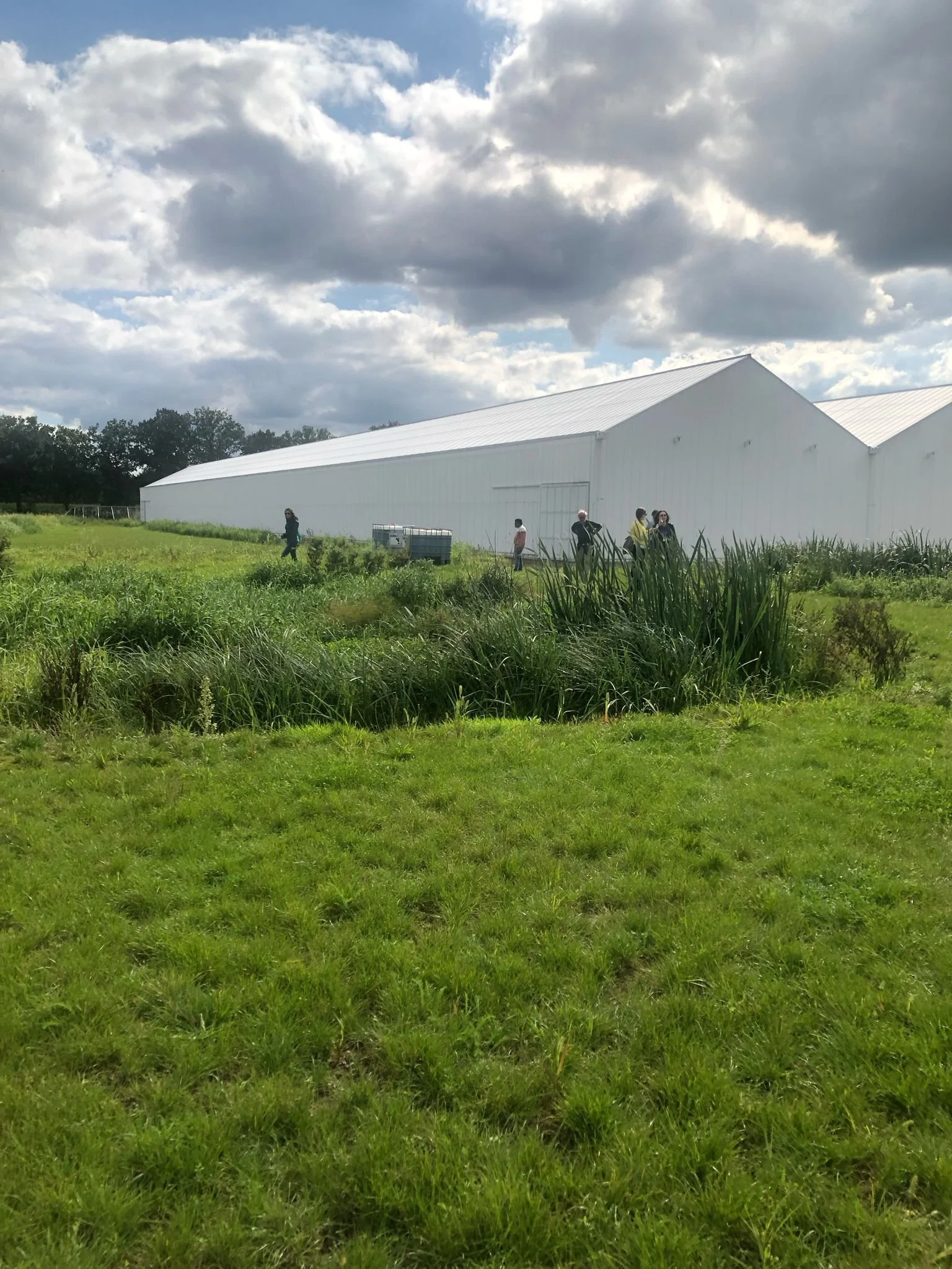 WhatsApp Image 2025-09-23 at 11.09.30.jpeg