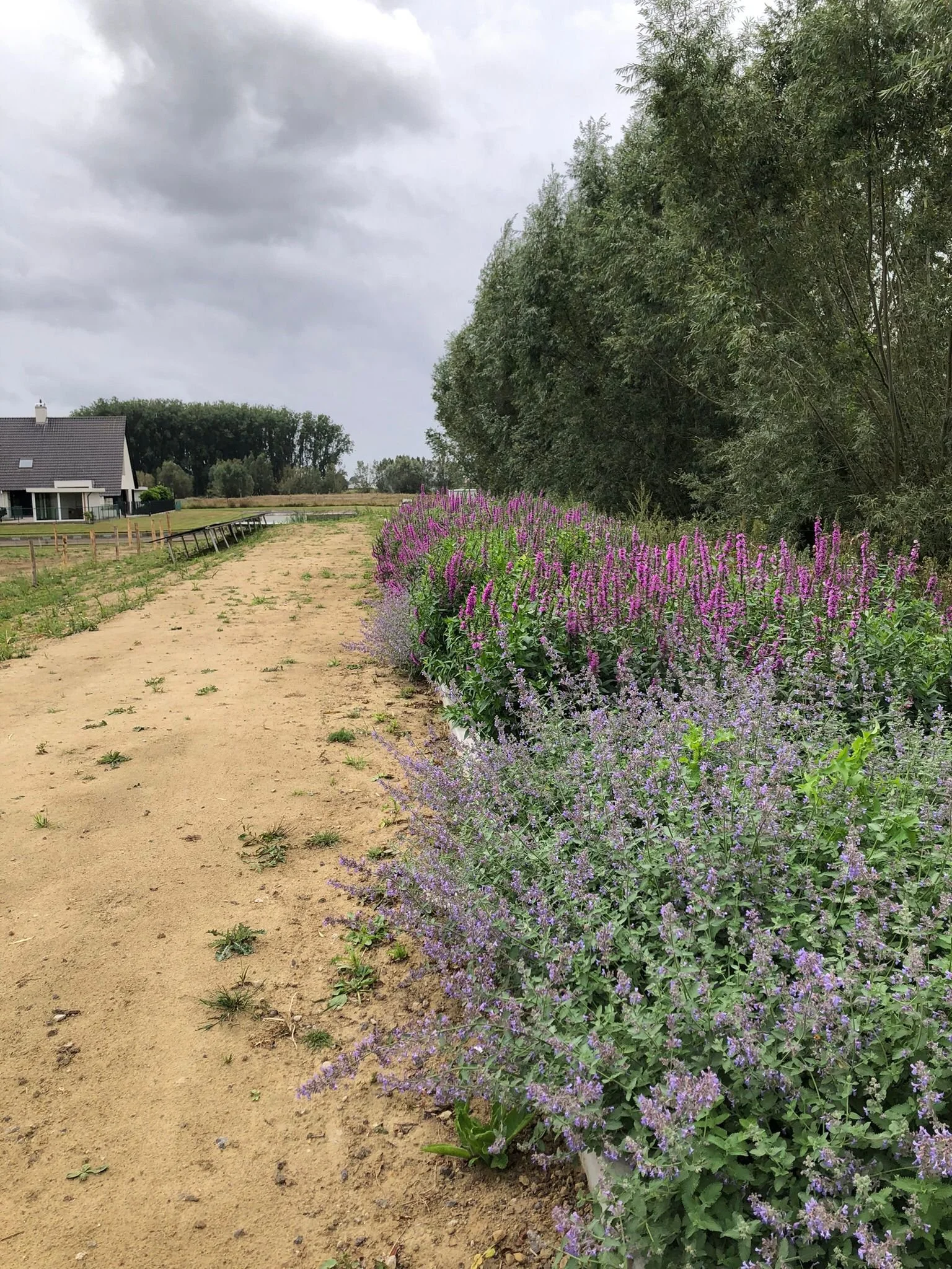 WhatsApp Image 2025-09-15 at 11.42.49 (4).jpeg