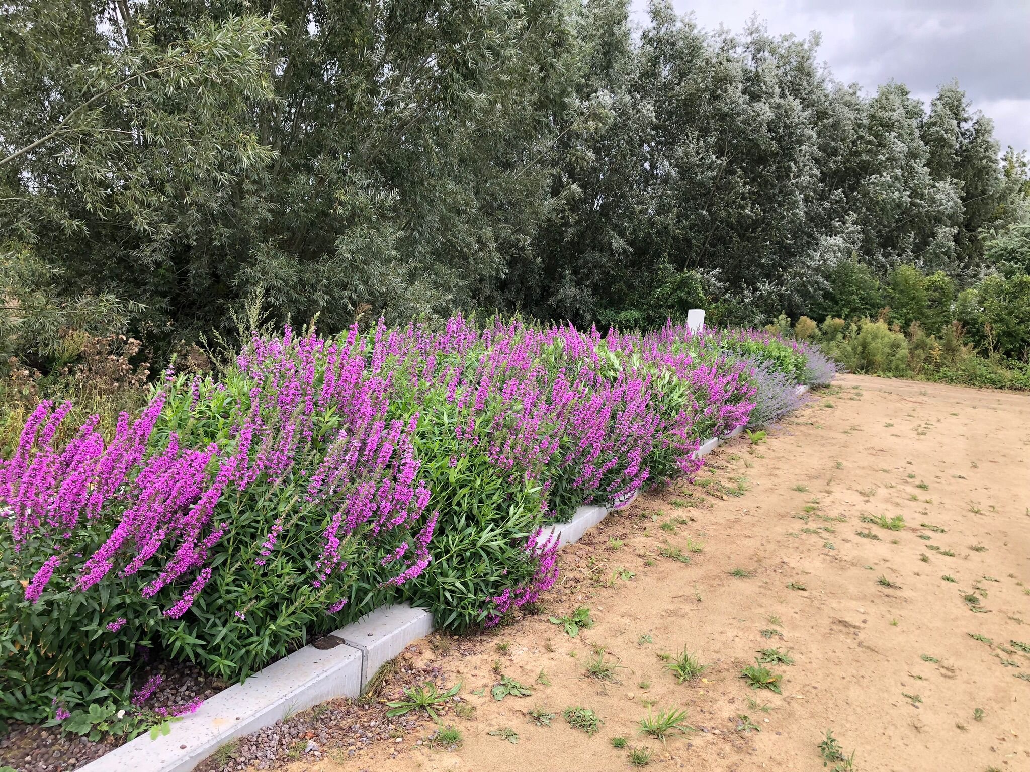 WhatsApp Image 2025-09-15 at 11.42.49 (3).jpeg