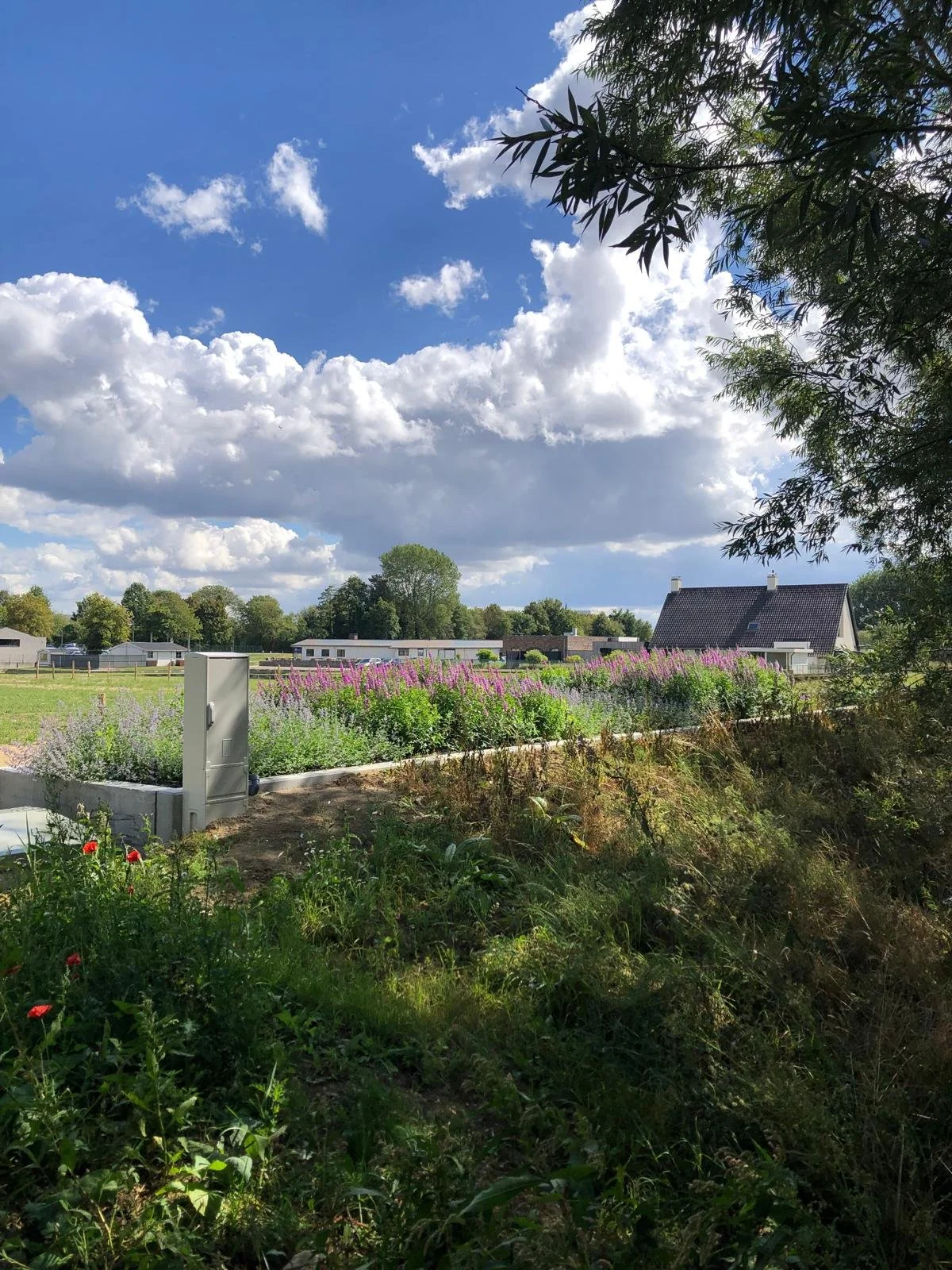 KWALITEIT + KWANTITEIT: LEDEGEMSE MEERSEN