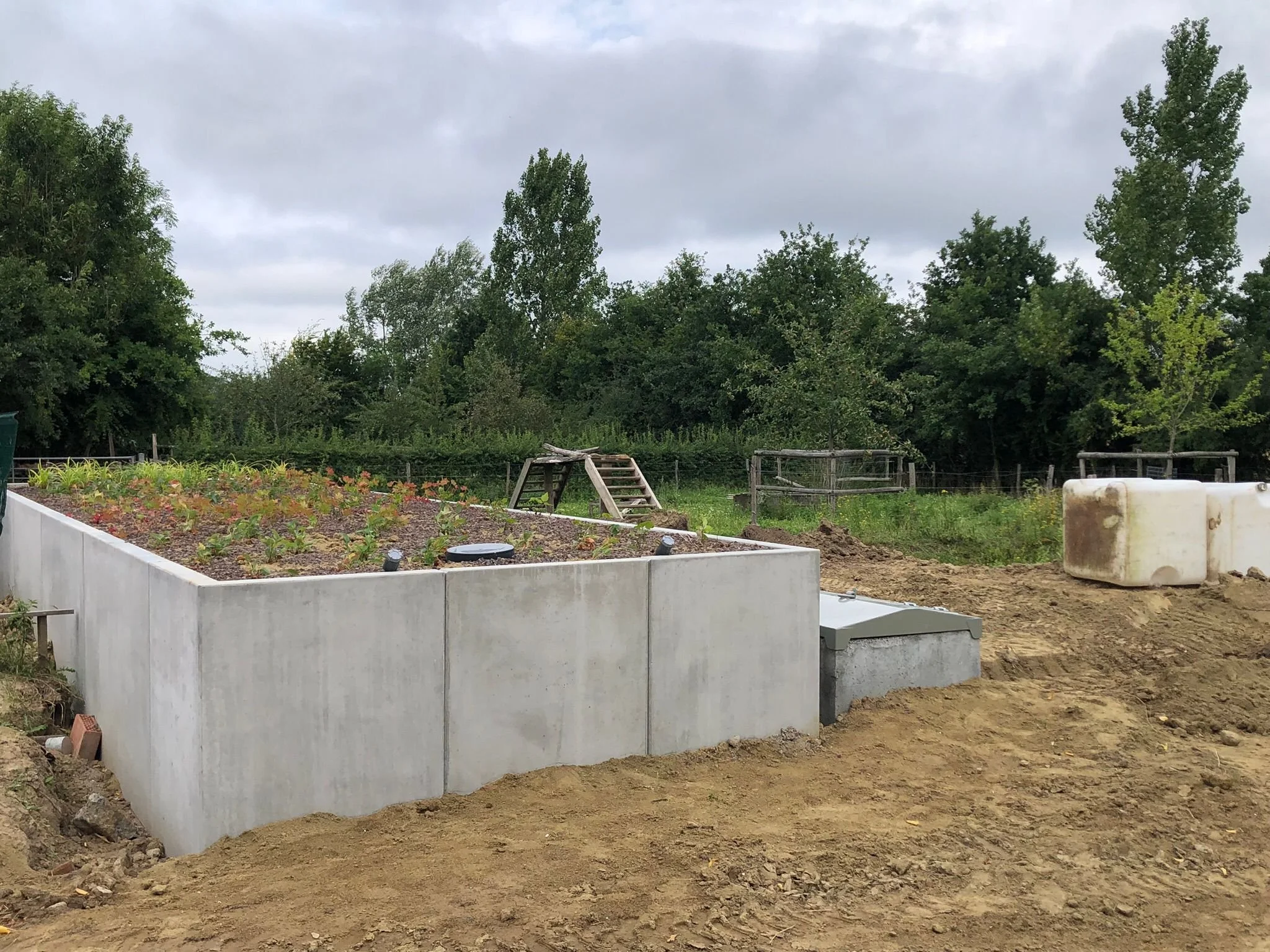 WhatsApp Image 2025-09-30 at 22.42.18 (5).jpeg