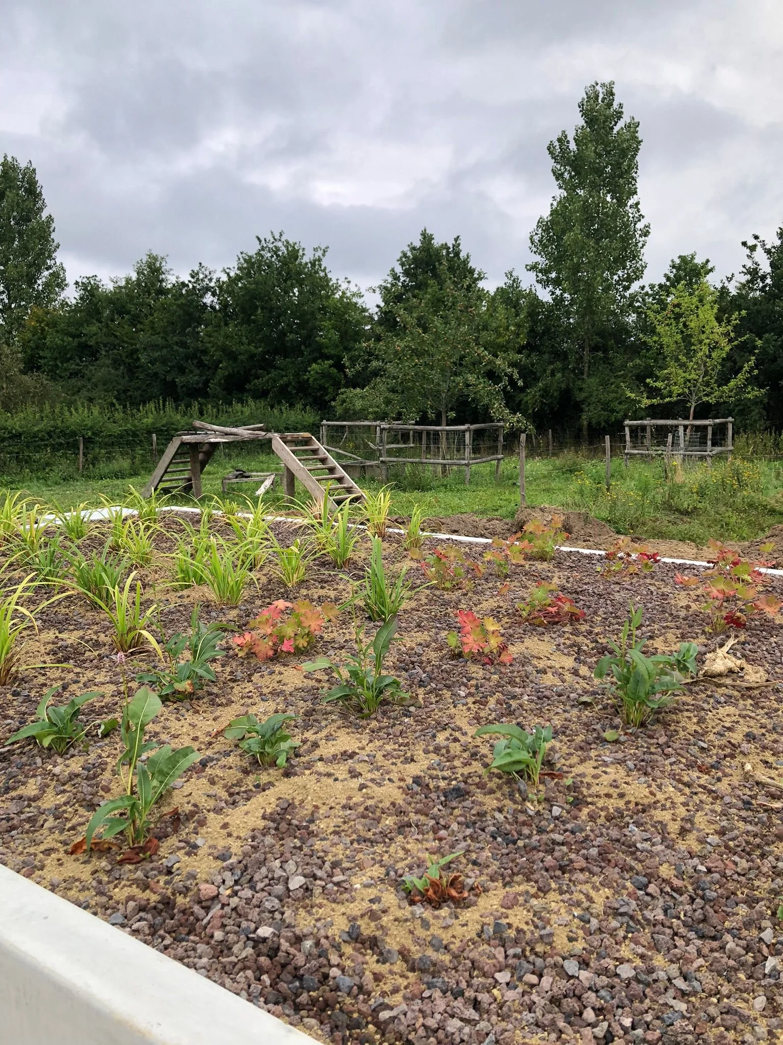 WhatsApp Image 2025-09-30 at 22.42.18 (4).jpeg