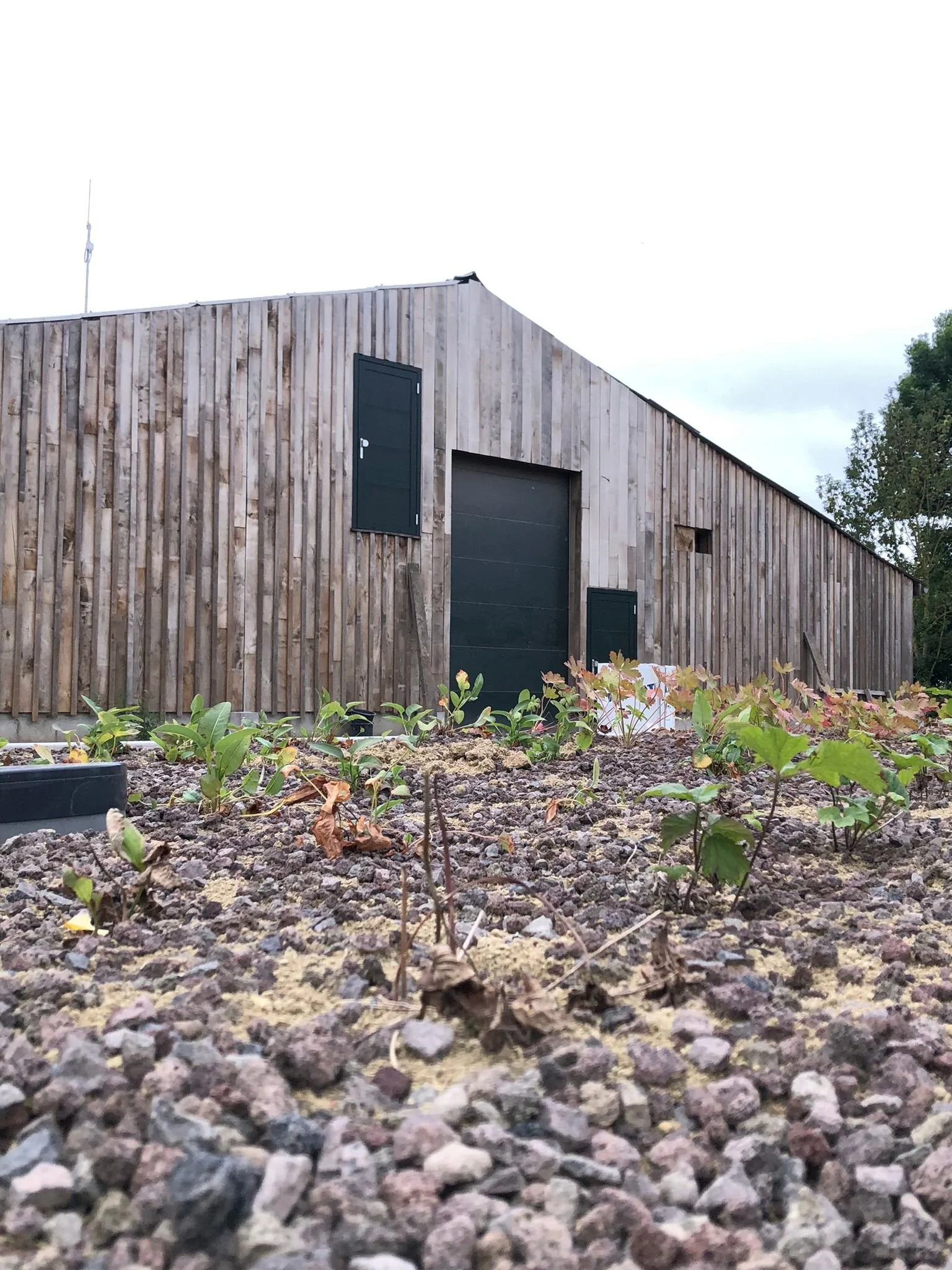 WhatsApp Image 2025-09-30 at 22.42.18 (3).jpeg