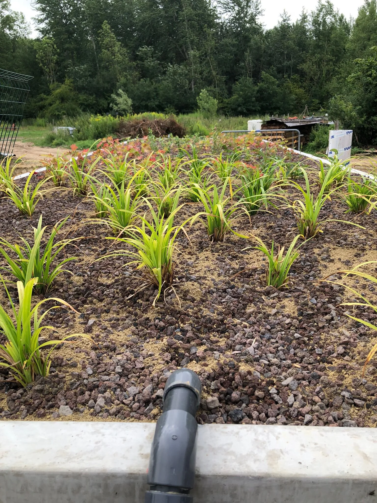 WhatsApp Image 2025-09-30 at 22.42.18.jpeg