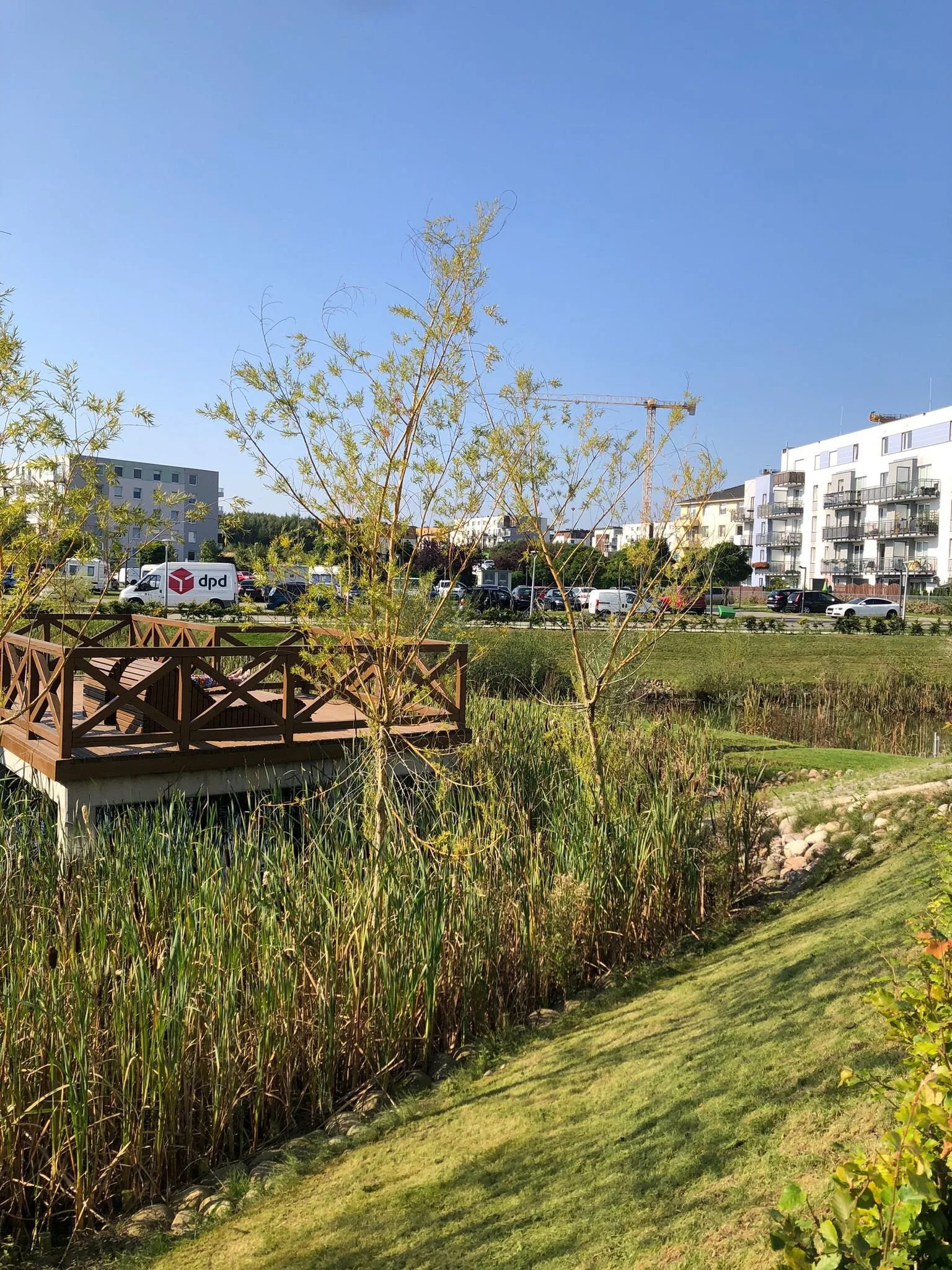 WhatsApp Image 2025-09-30 at 22.53.33 (2).jpeg