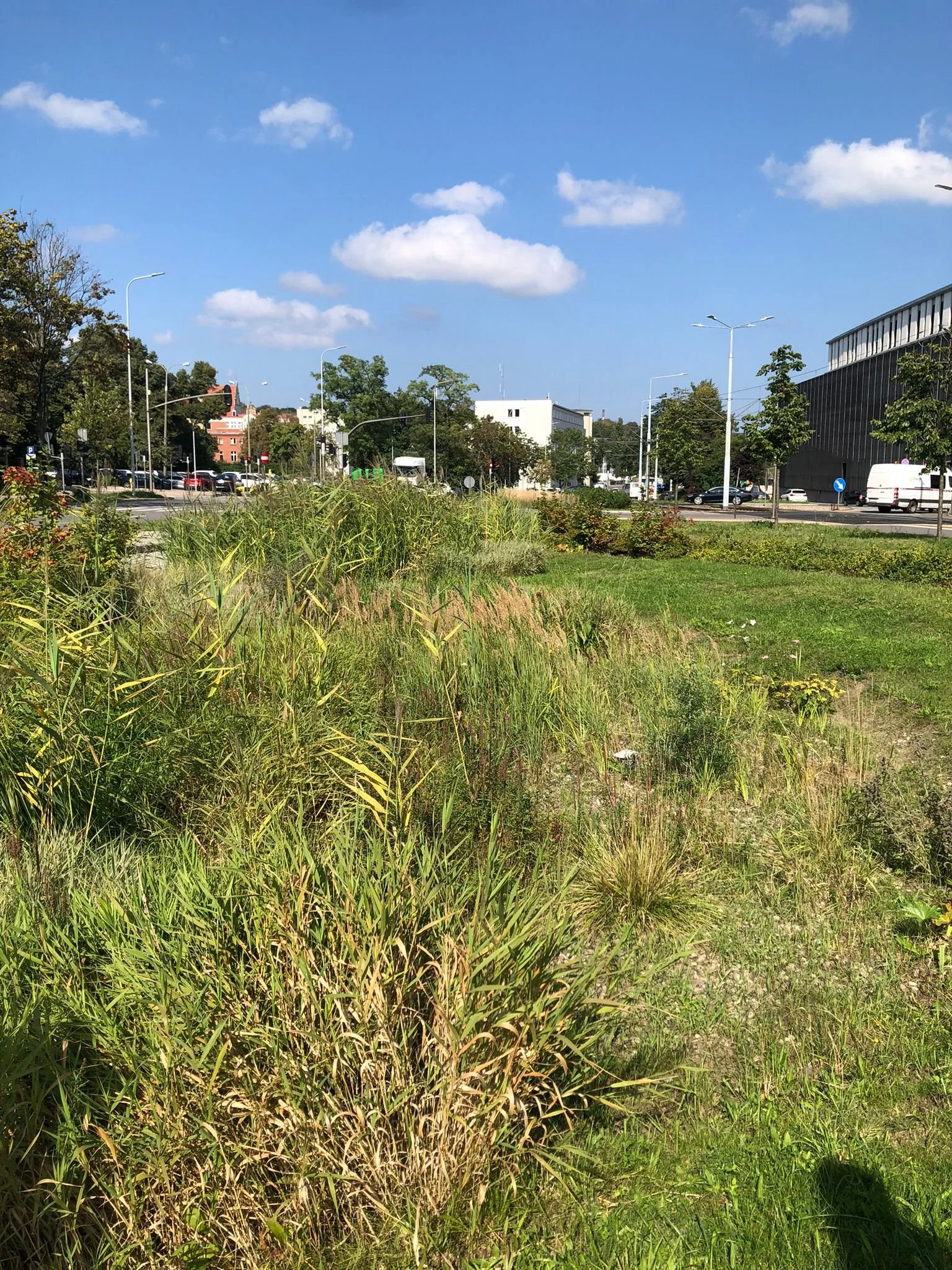 WhatsApp Image 2025-09-30 at 22.53.33 (1).jpeg