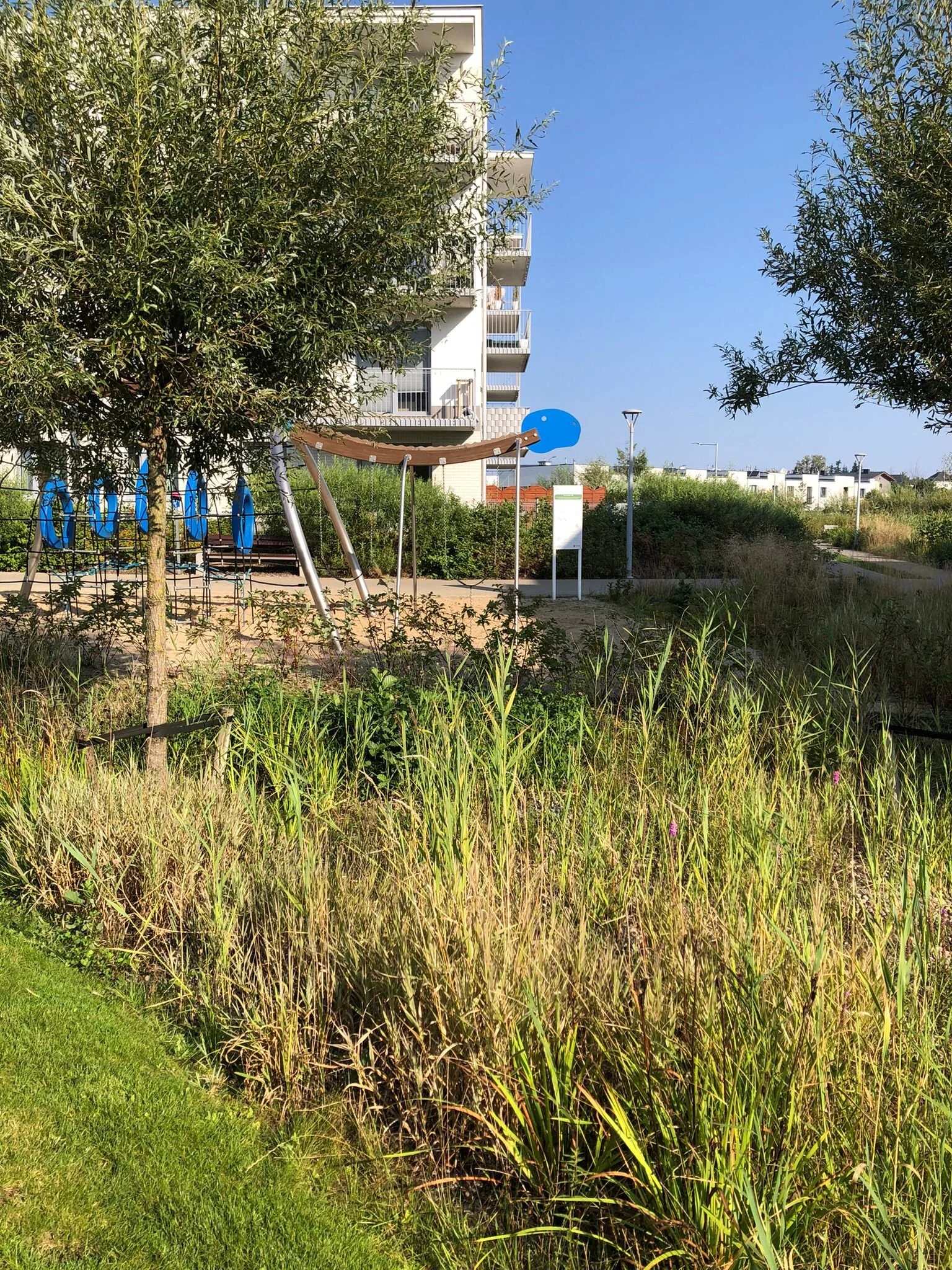 WhatsApp Image 2025-09-30 at 22.53.33.jpeg