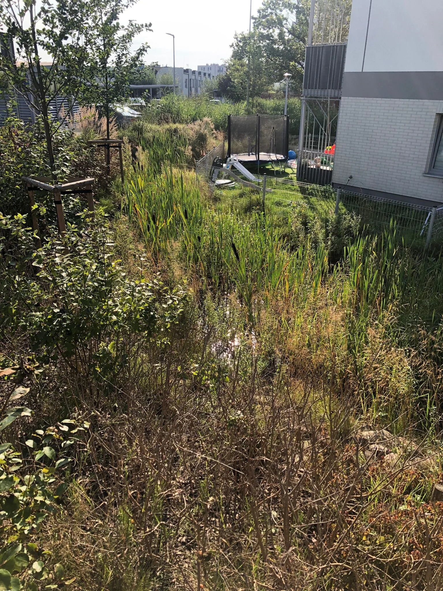 WhatsApp Image 2025-09-30 at 22.53.32 (2).jpeg