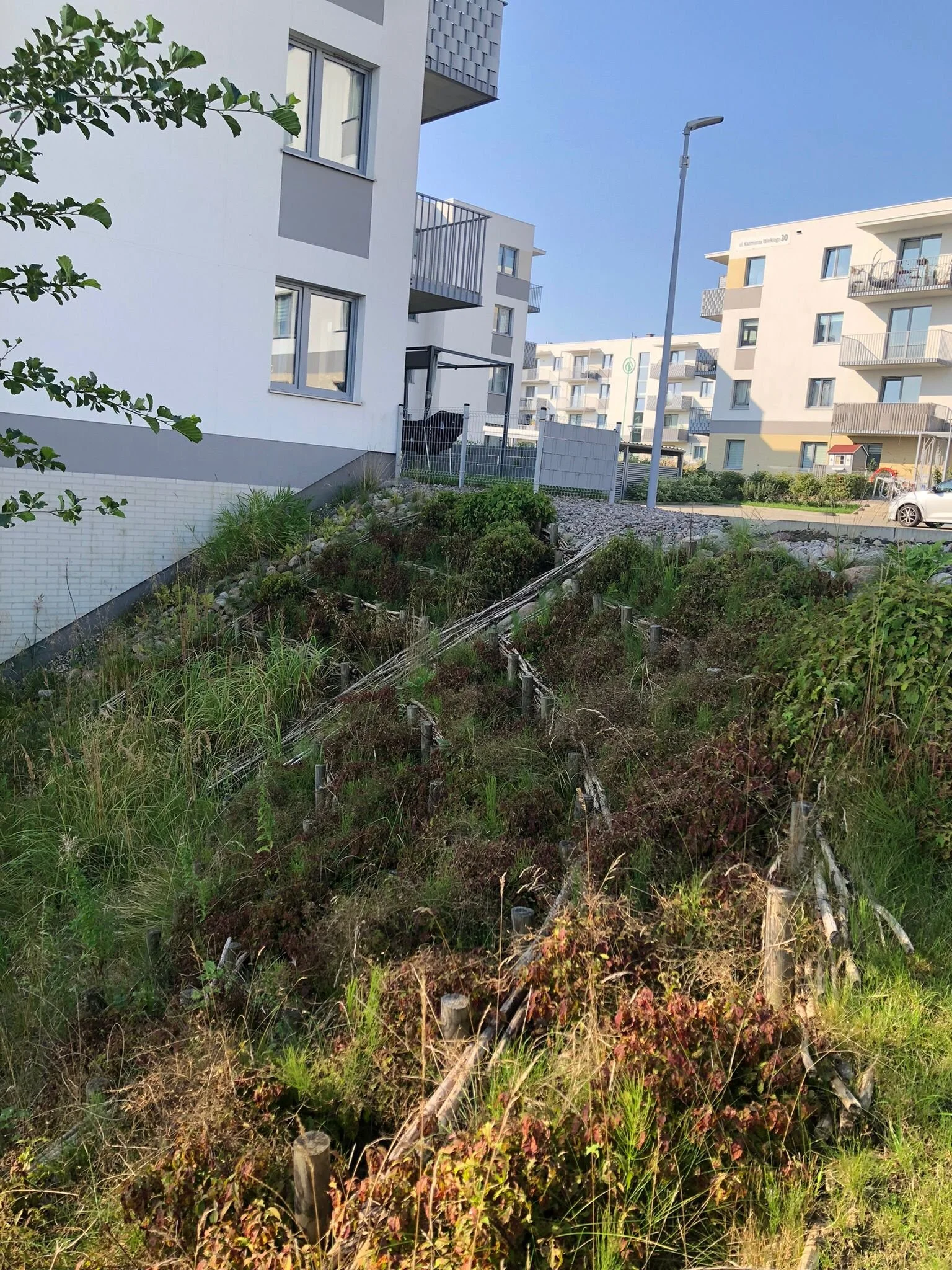 WhatsApp Image 2025-09-30 at 22.53.32 (1).jpeg