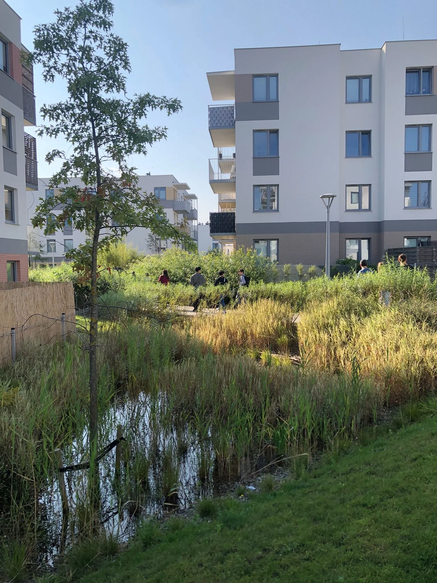 WhatsApp Image 2025-09-30 at 22.53.32.jpeg