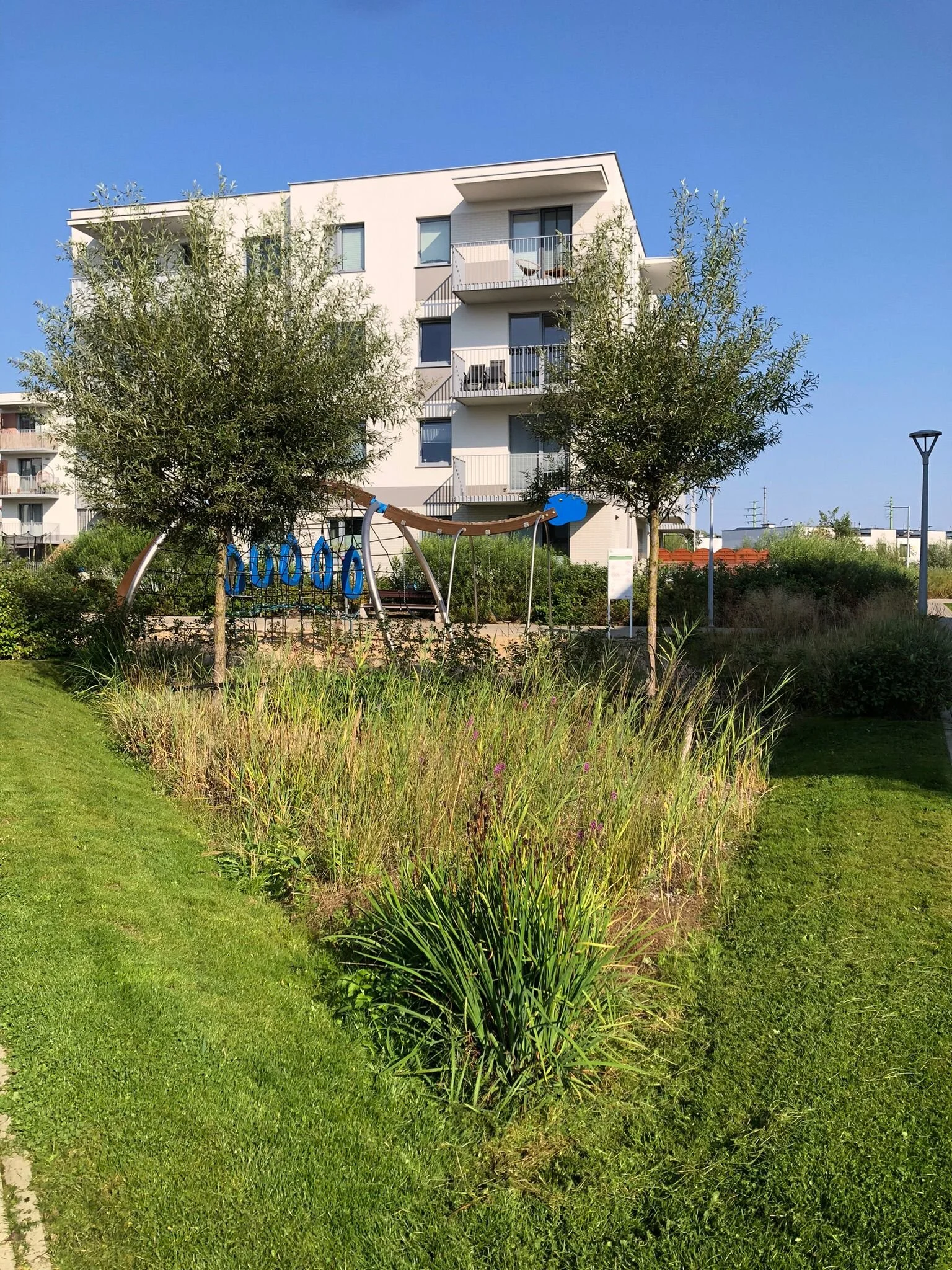 WhatsApp Image 2025-09-30 at 22.53.31 (2).jpeg