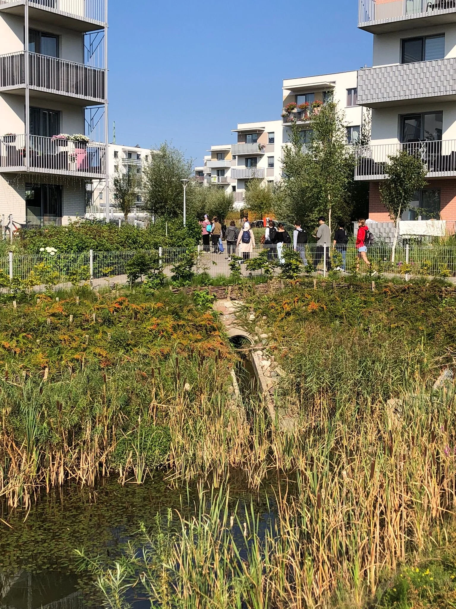 WhatsApp Image 2025-09-30 at 22.53.31 (1).jpeg