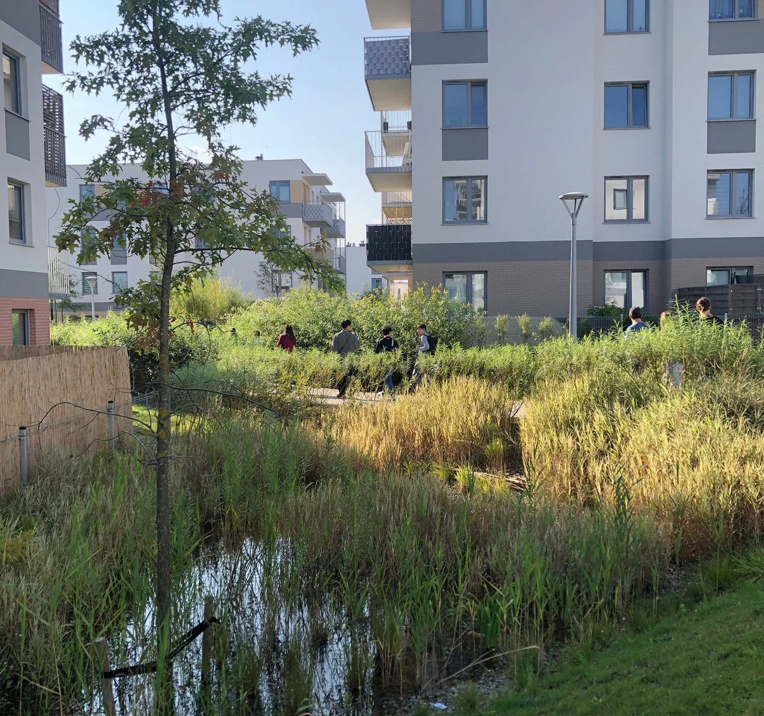 CURSUS WADI’S IN POLEN