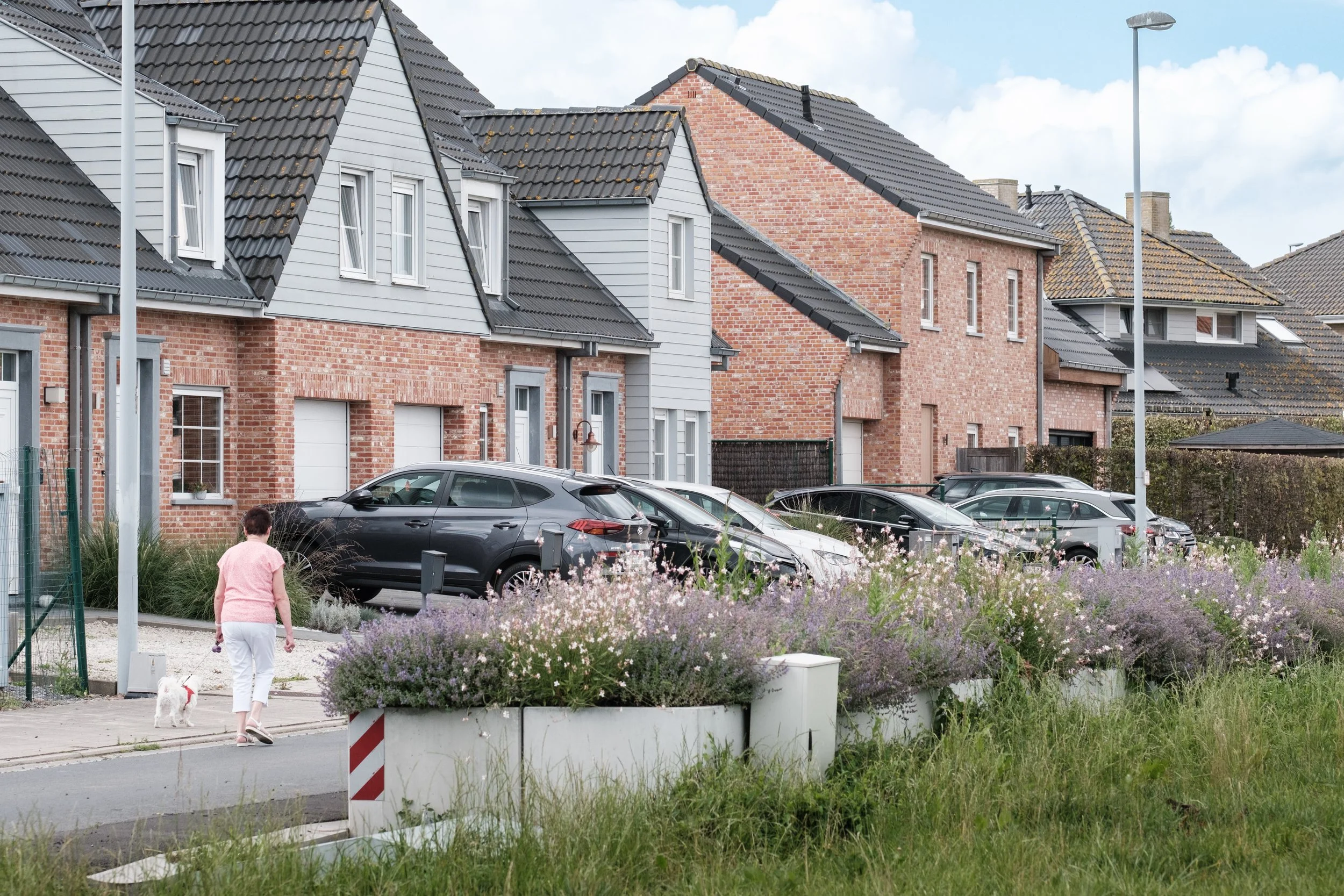 NATUURLIJKE OPLOSSINGEN BINNEN EU ERSA-CONTEXT: VAN BELEIDSDOELSTELLING NAAR &nbsp;PRAKTIJKOPLOSSING