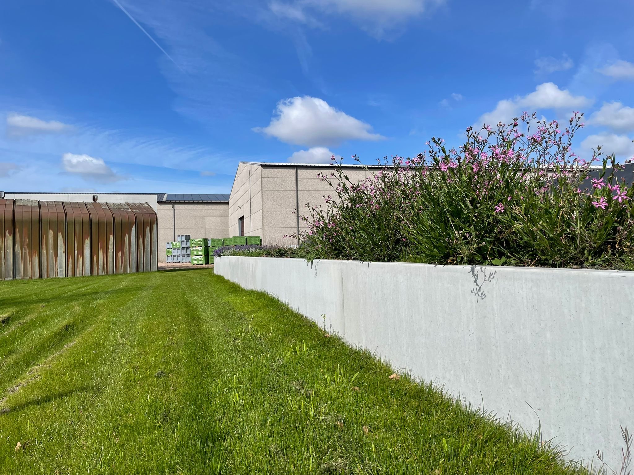 WhatsApp Image 2026-04-10 at 15.22.07 (1).jpeg