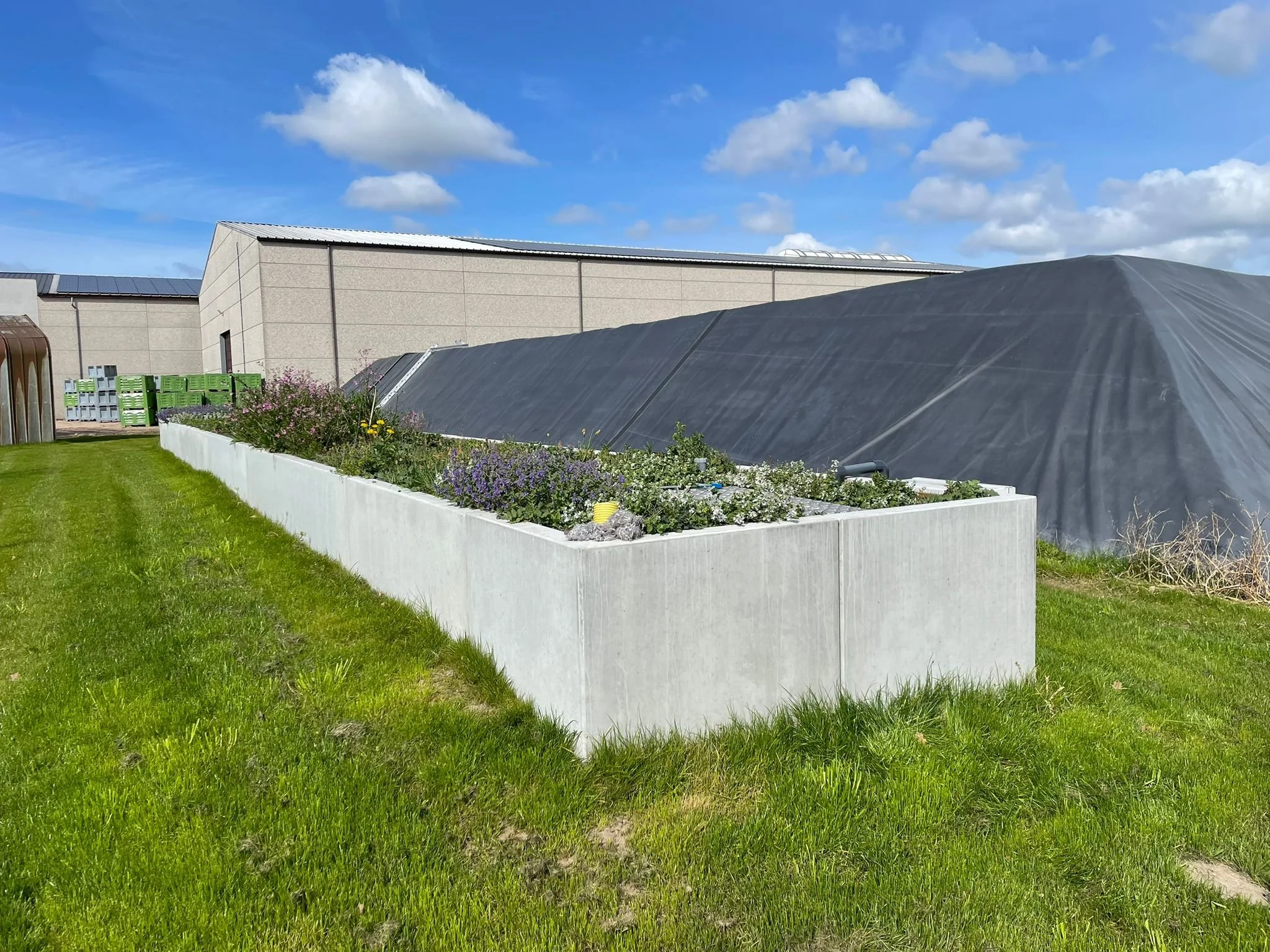 WhatsApp Image 2026-04-10 at 15.22.08.jpeg