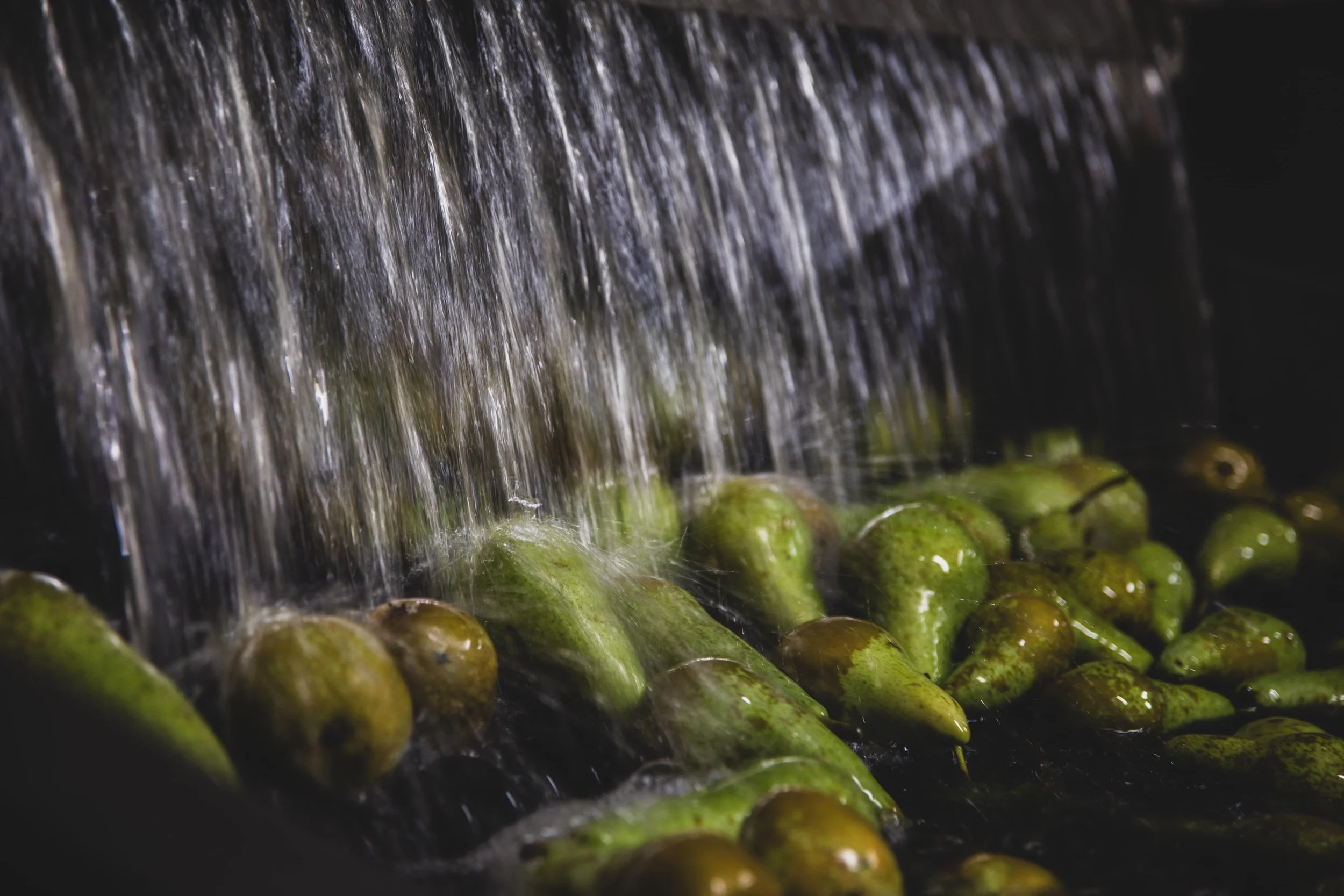 “ELKE DRUPPEL TELT” - WATERHERGEBRUIK BIJ WFT FRUIT
