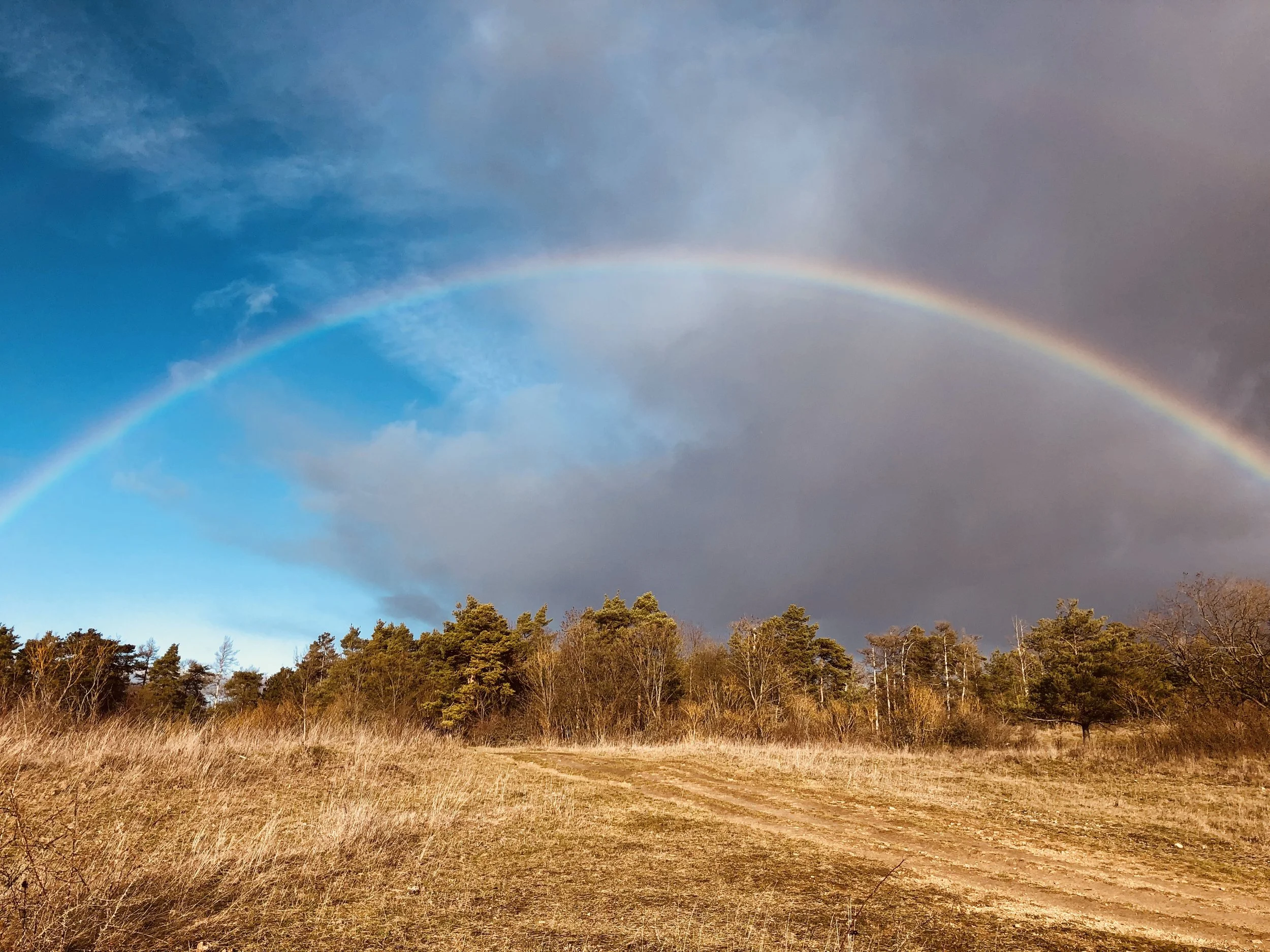 Kommunikation in Beziehung