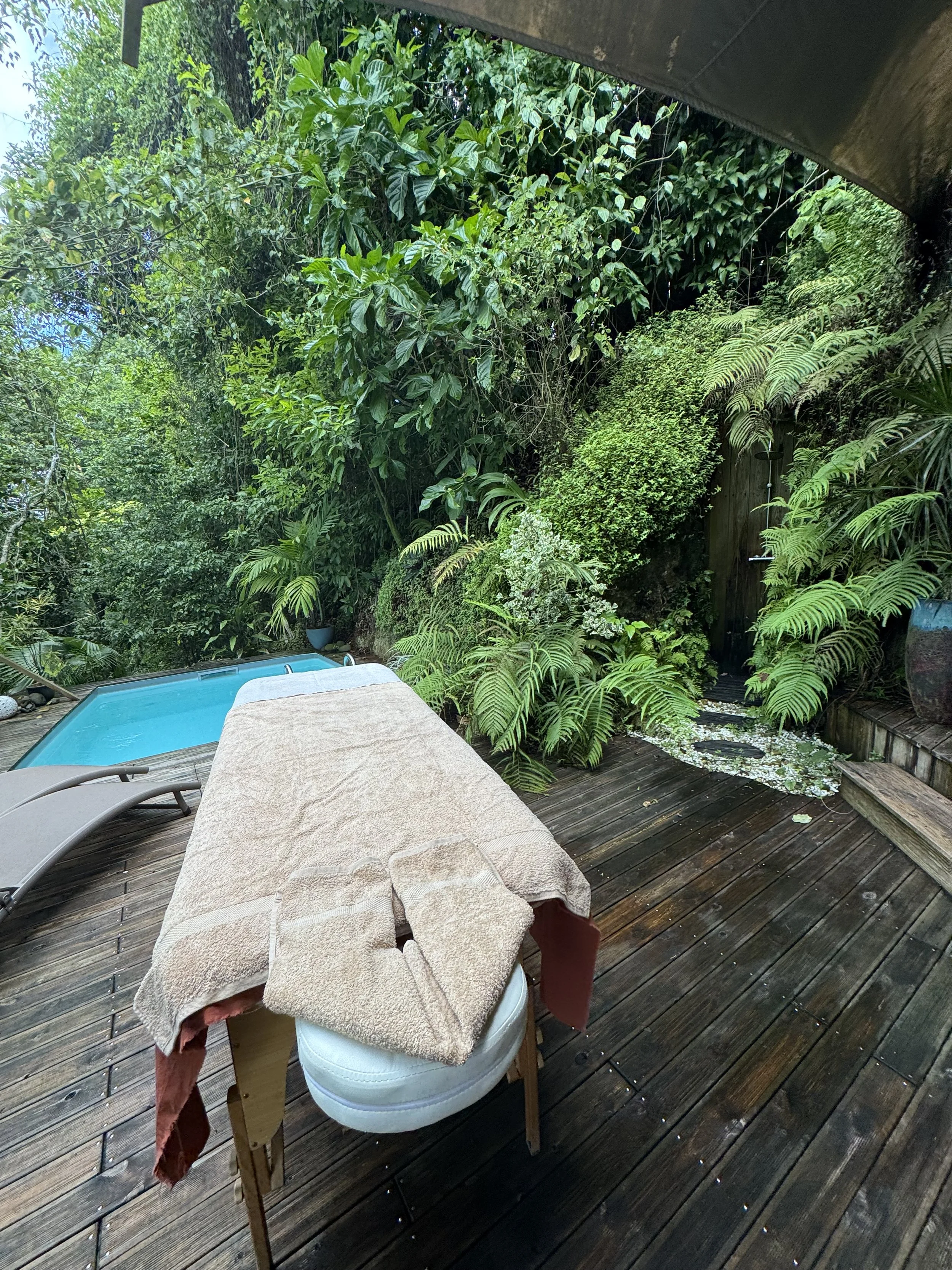 Piscine dans un jardin entouré de végétation dense avec un matelas et une chaise longues sur une terrasse en bois.