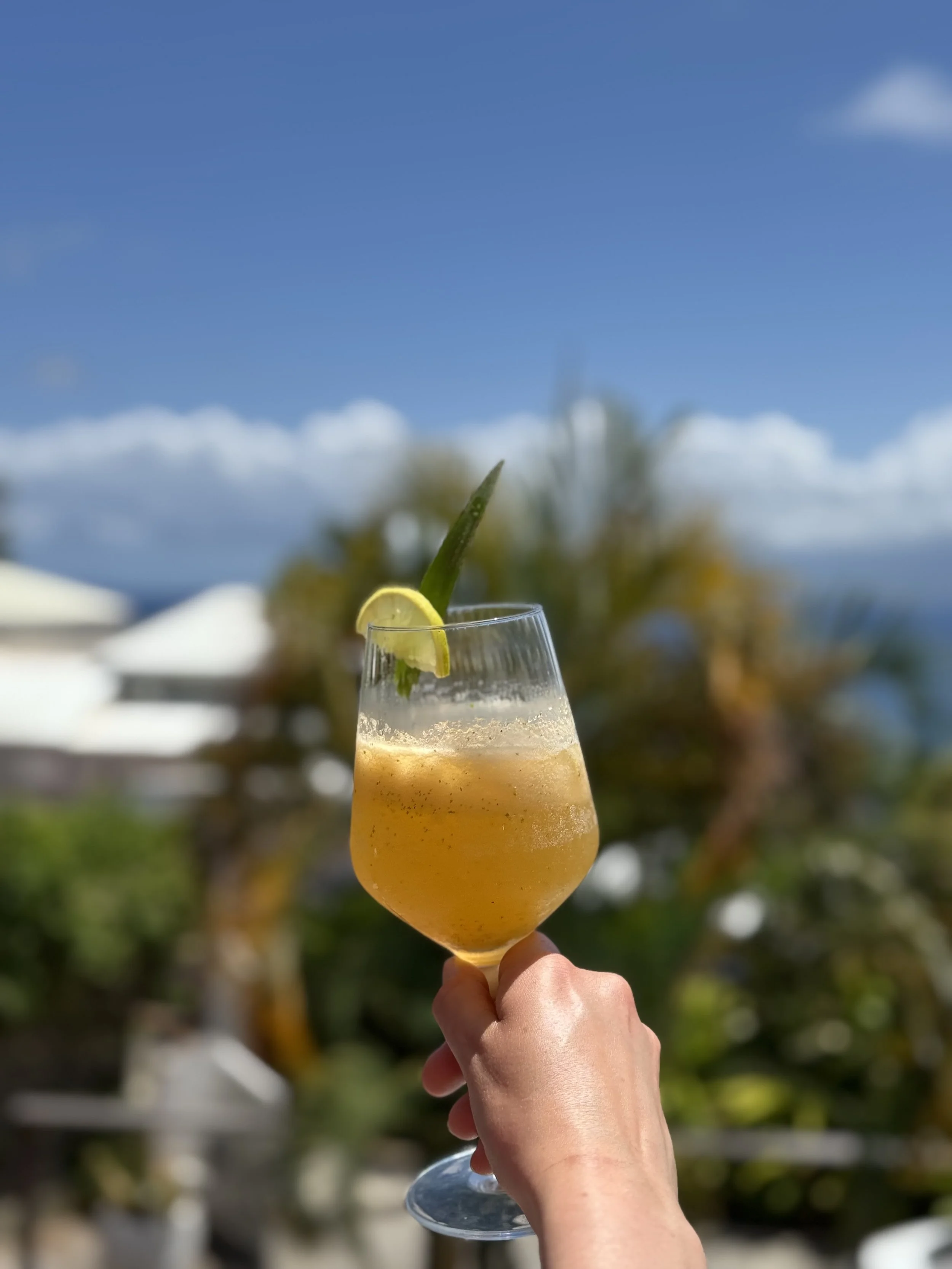Verre à cocktail avec tranche de citron et ananas, tenu par une main contre un ciel bleu avec quelques nuages, en arrière-plan des arbres