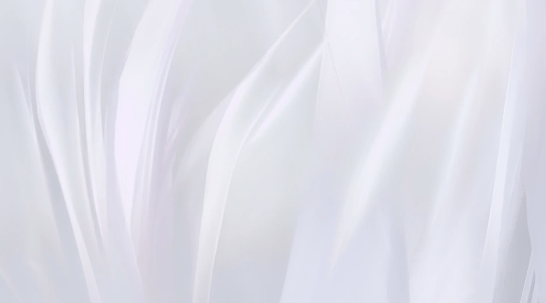 The Hot Girl CFO, Finance Mastermind.png