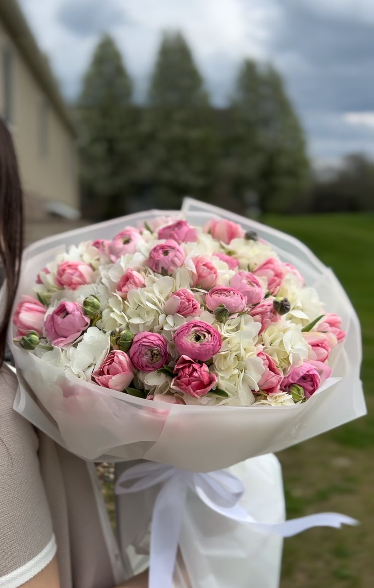 D934167C-0032-494C-8577-8F114F637A57.jpeg