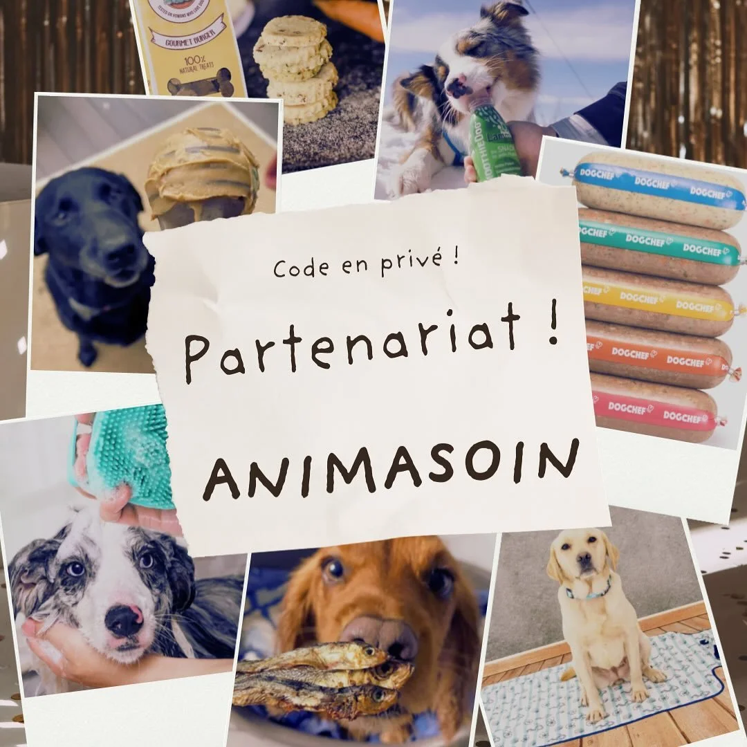 ✨ NOUVEAU PARTENARIAT ! ✨
Je suis super heureux(se) de vous annoncer mon partenariat avec la boutique ANIMASOIN &agrave; Douvaine 🐾 &mdash; &agrave; la fois en ligne et en magasin ! 💻🛍️
Une adresse incontournable pour prendre soin de vos animaux a