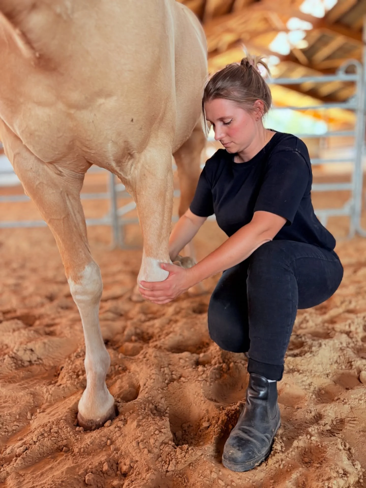 Enfin la premi&egrave;re rencontre avec Missil 🥰 ce tr&egrave;s beau petit Quarter, comme on les aimes, beau goss et bien dans ses sabots 💛🐴 @osteo_animaux_camille_jonget