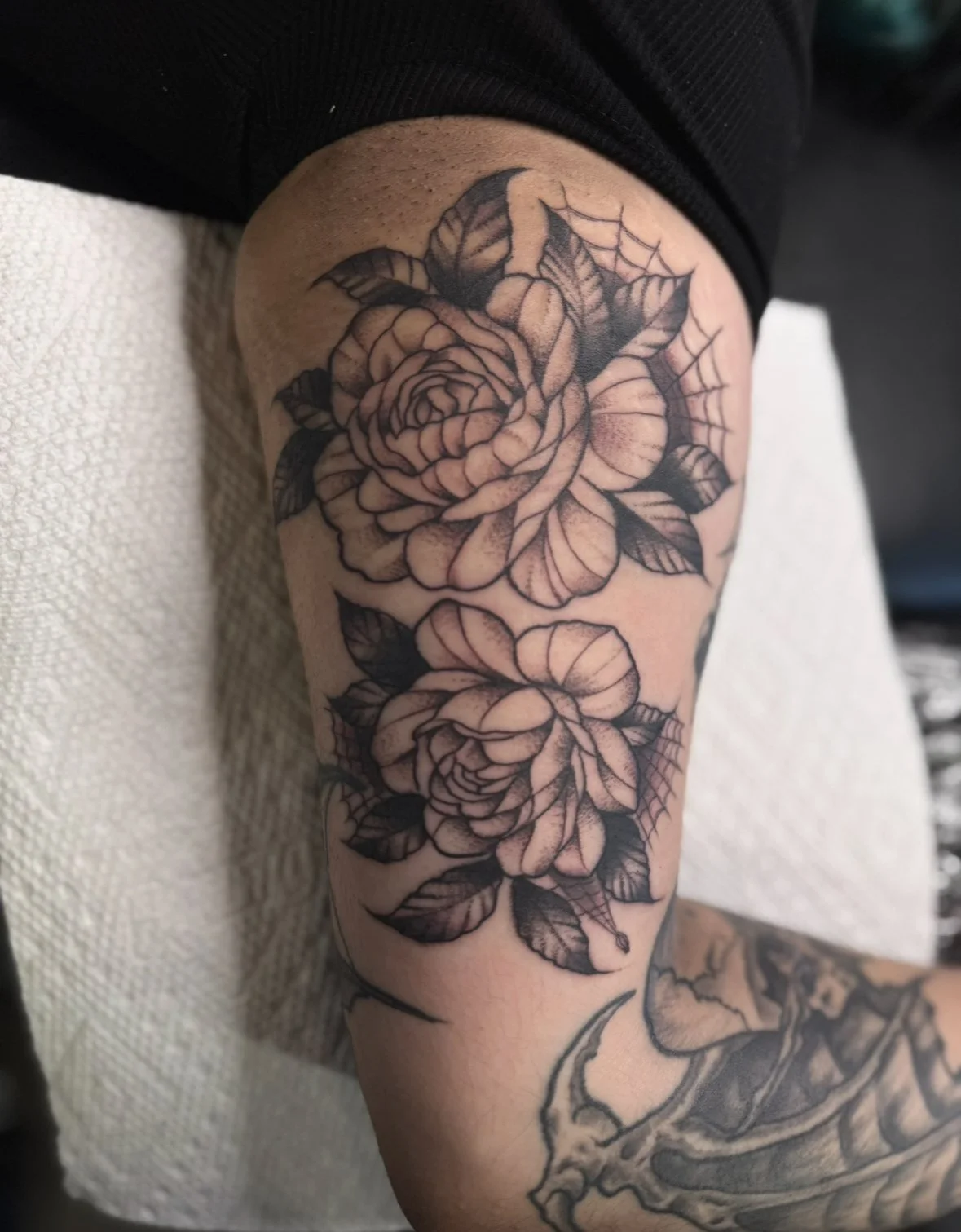 Peonies with Spiderweb