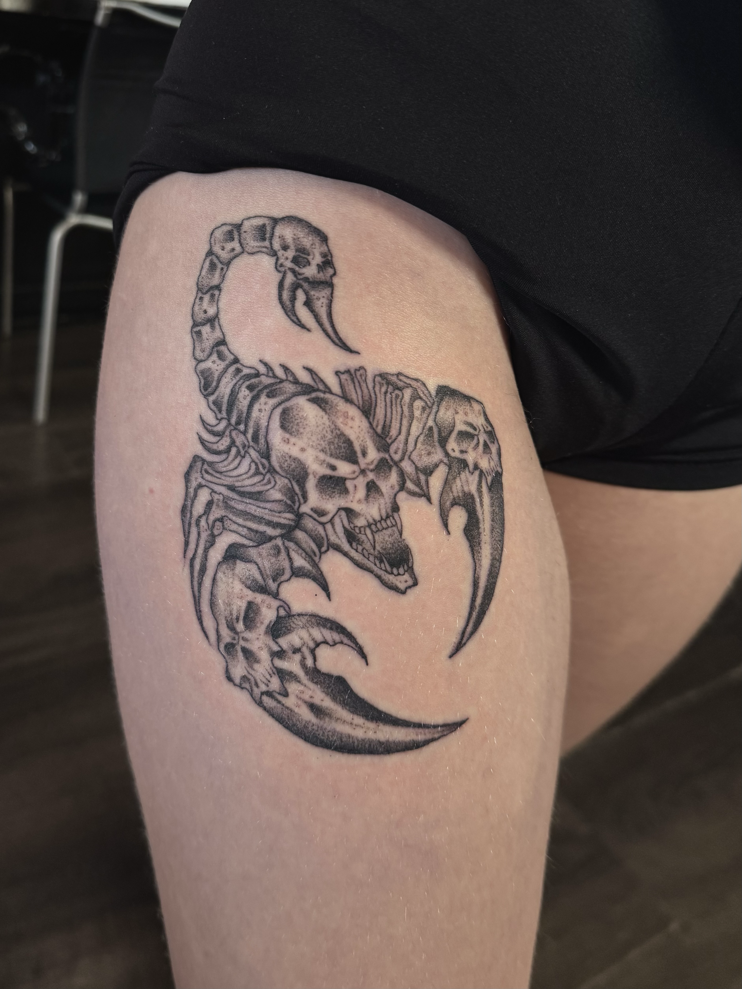 Skull Scorpion
