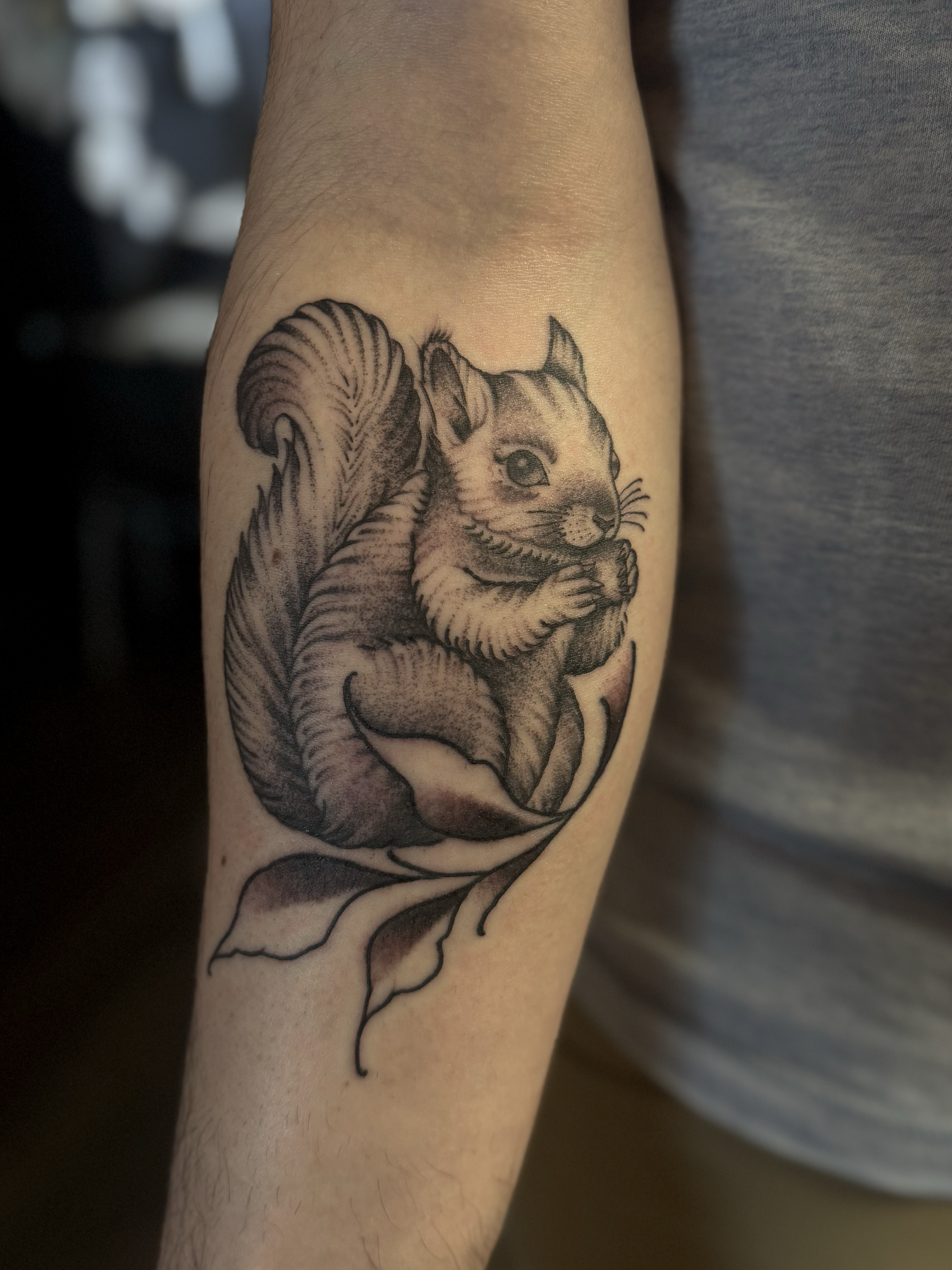 Neotraditional Squirrel 