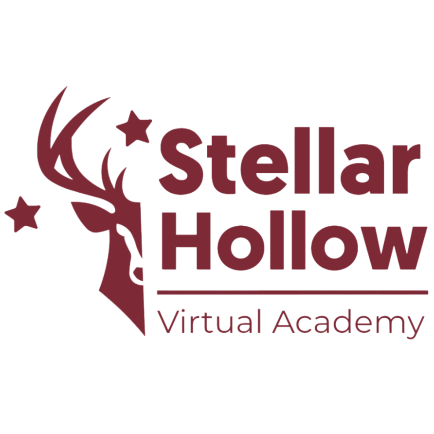 Stellar Hollow Virtual Academy