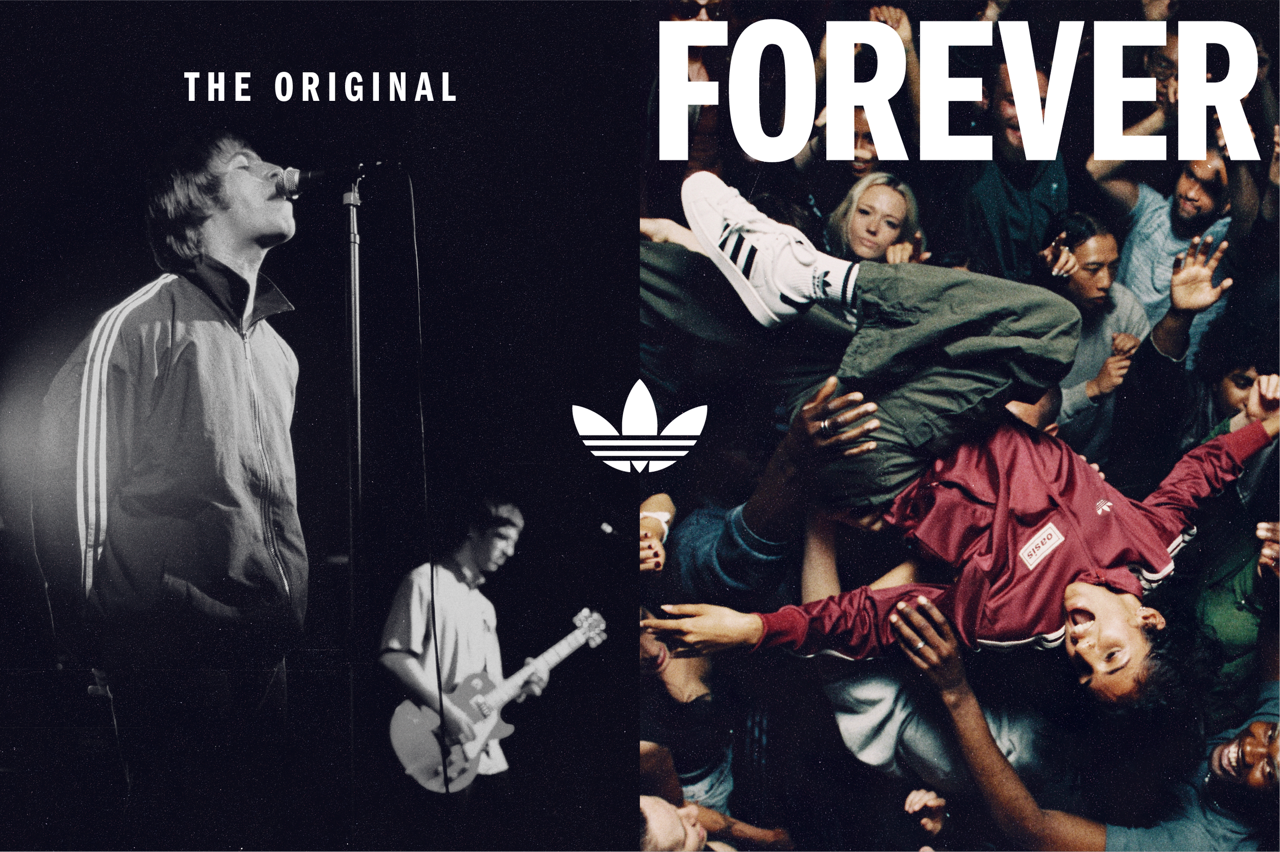 Artboard 30 copy 3@3x.png