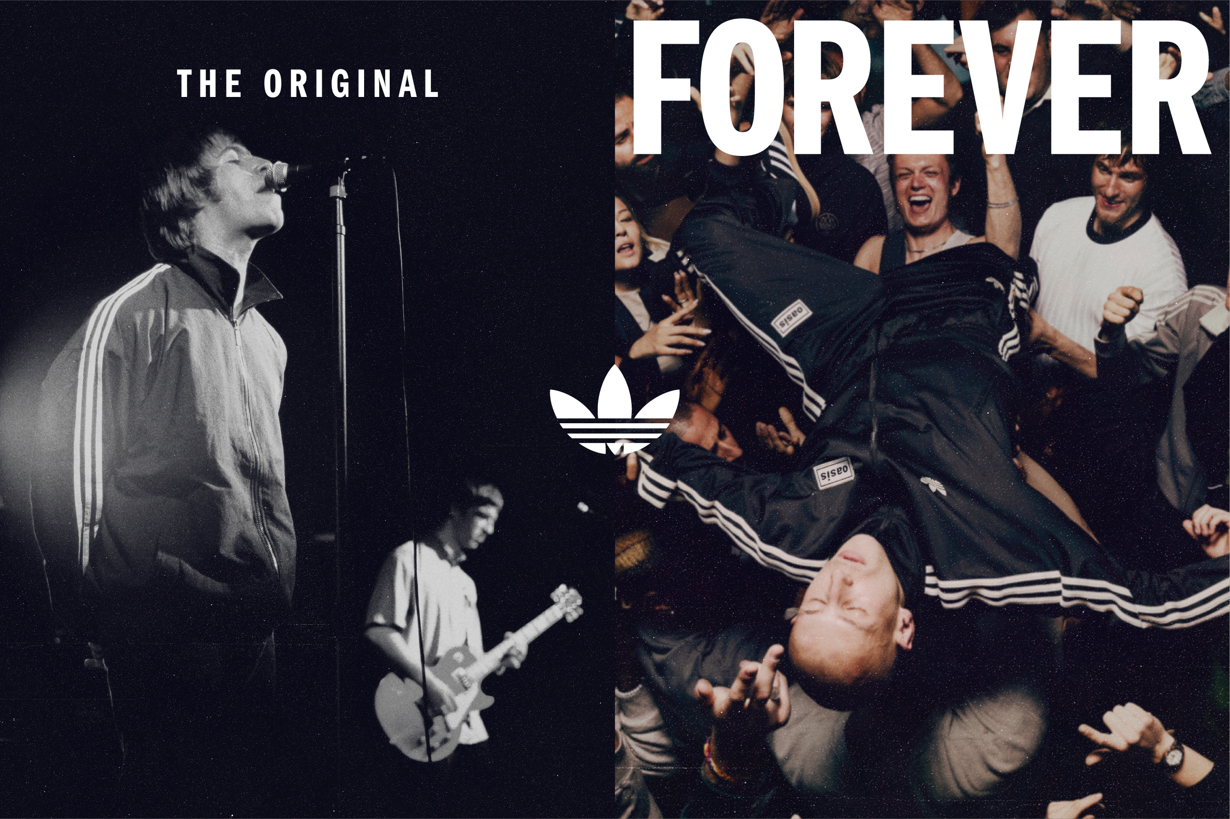 Artboard 30 copy@3x.png