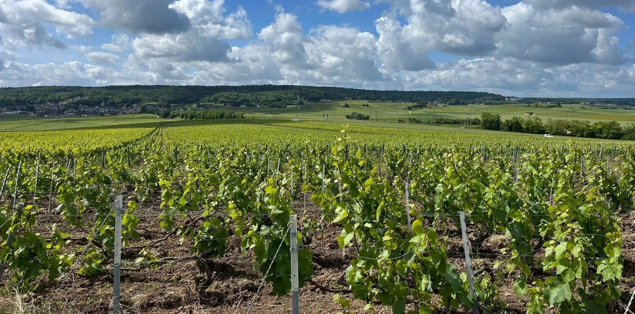 Measuring Plant Nutrition with Metiris