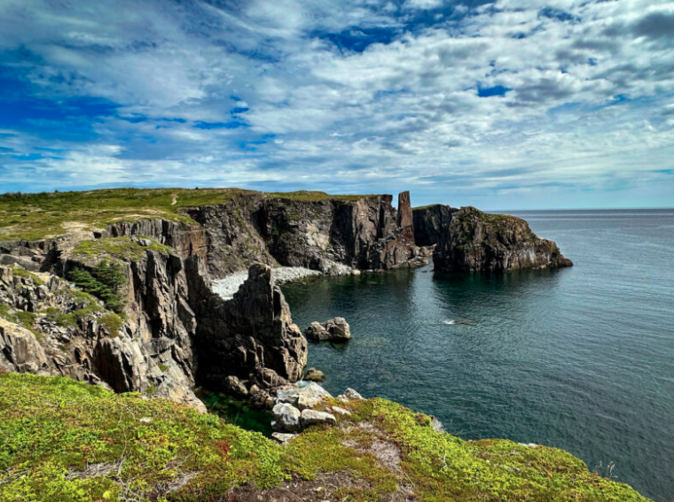 Image 2026-04-29 at 1.42 PM.png