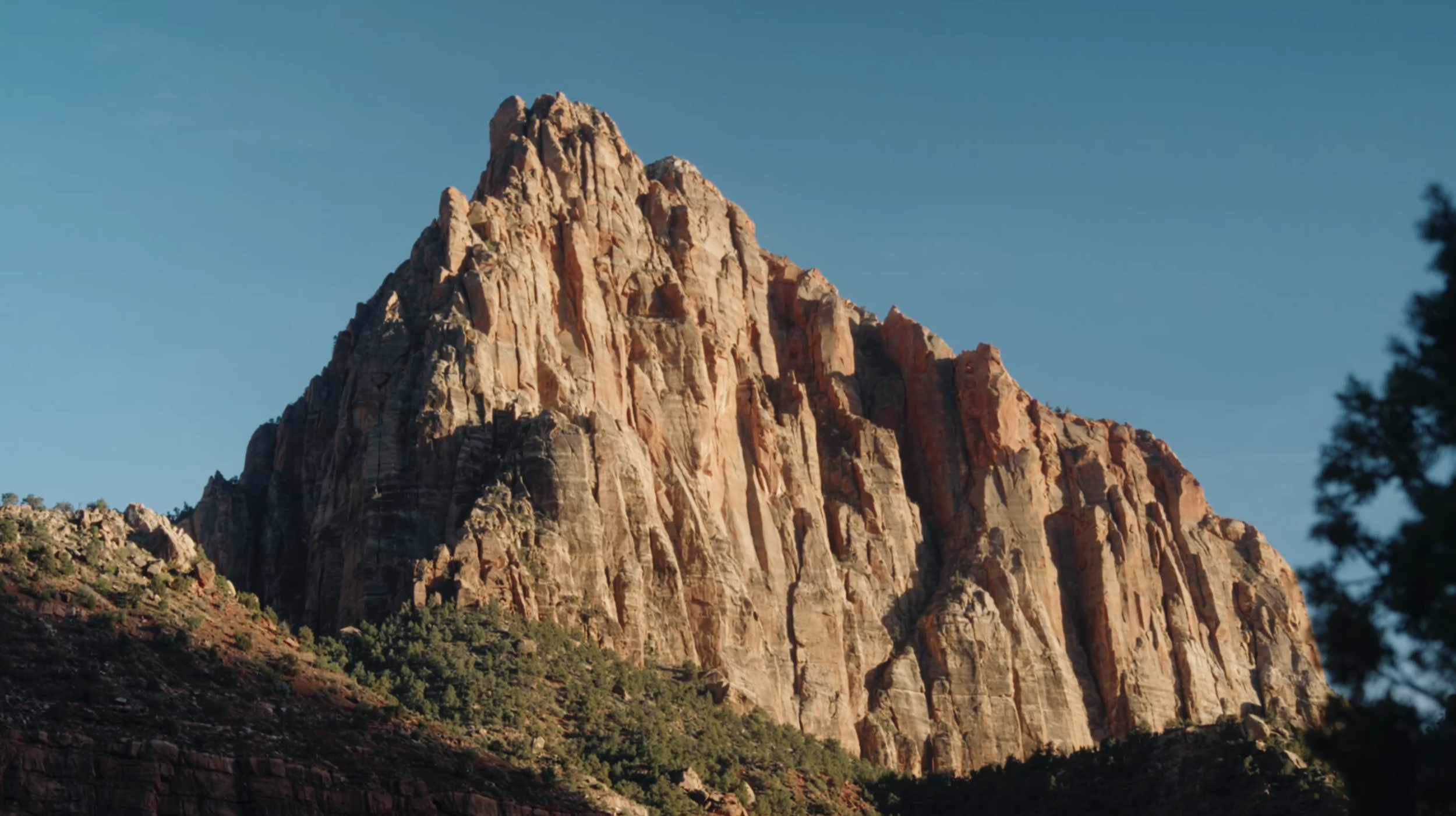 Zion Forever Project