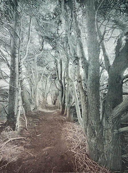 Cypress Trail, à la poupée edition