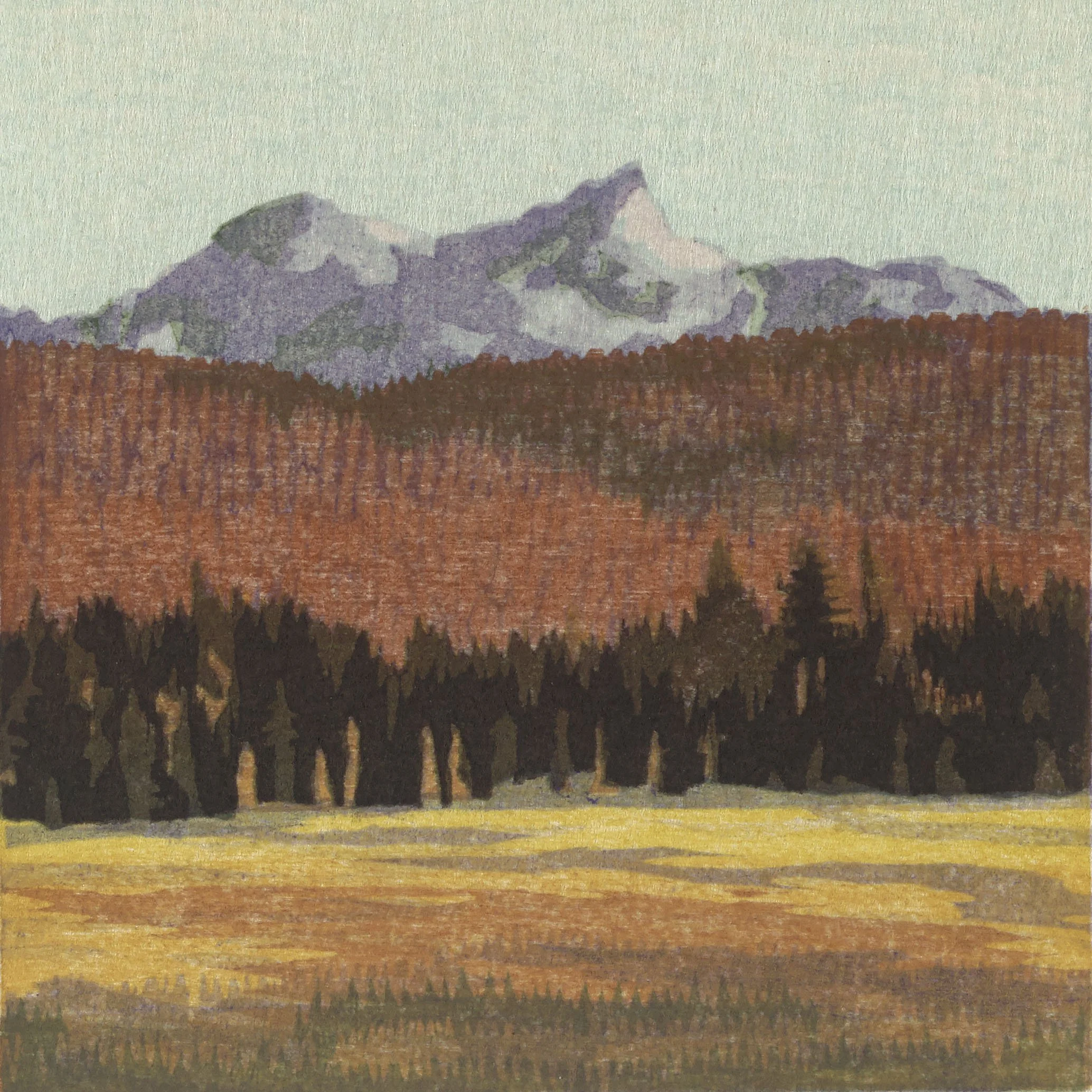 1988Yosemite Afternoon, Tuolumne Meadow.jpg
