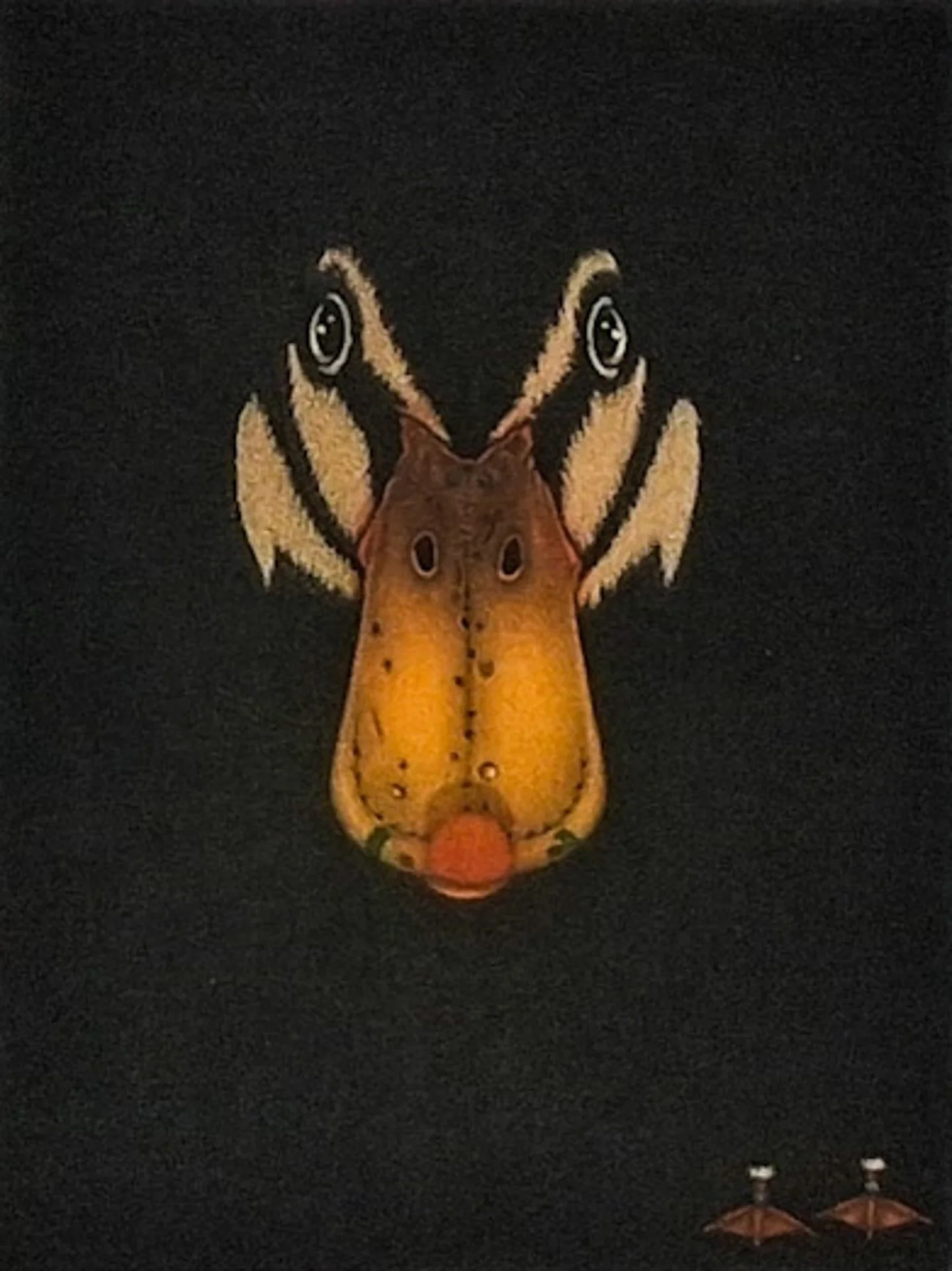 Canard (Duck)